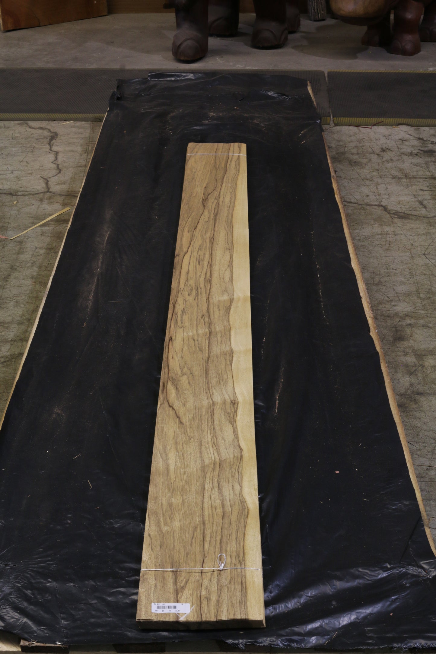 Black Ofram (terminalia superba) 0,6mm