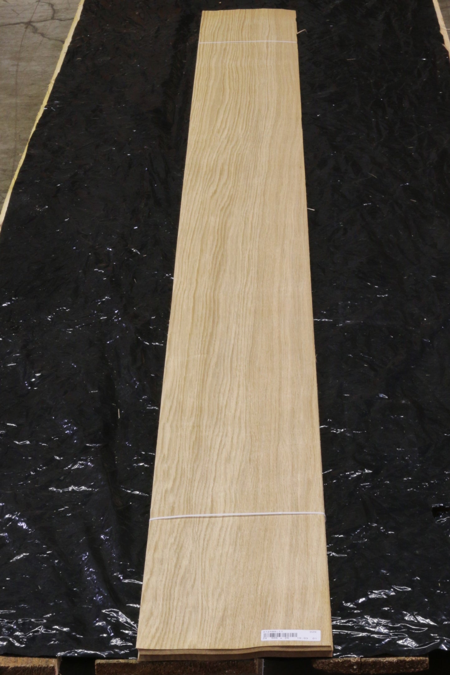 Euro Eiche (quercus alba) 0,6mm