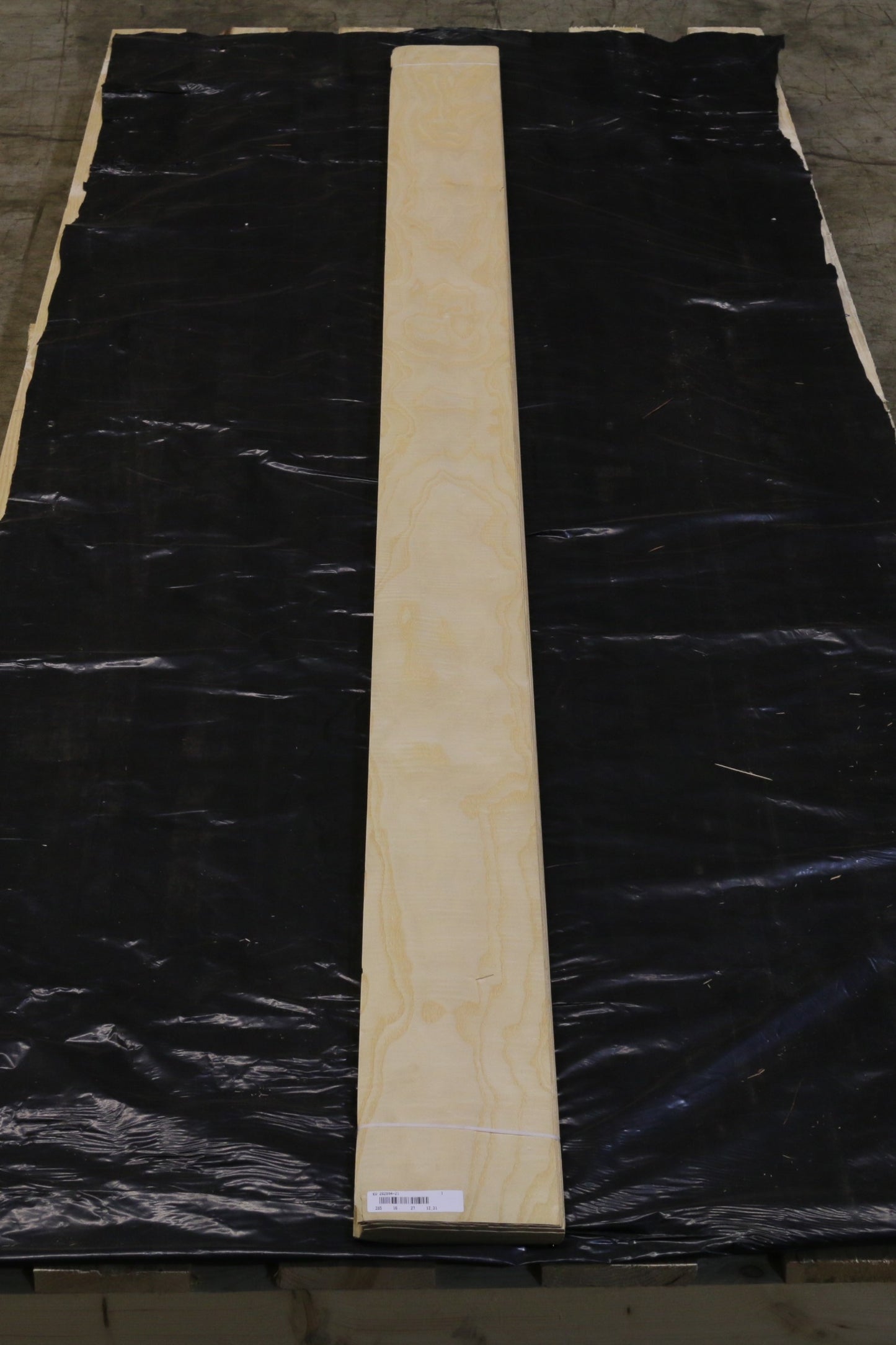 Esche weiß (fraxinus excelsior) 0,6mm