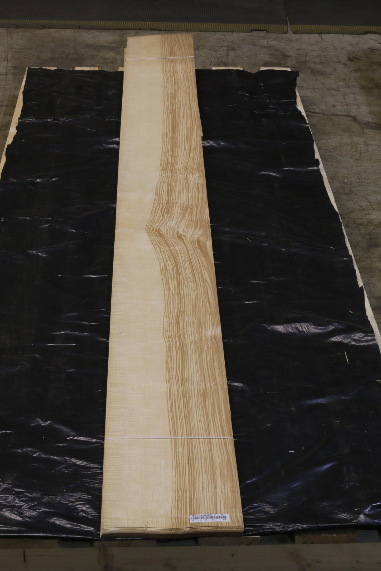 Esche olive (fraxinus excelsior) 0,6mm