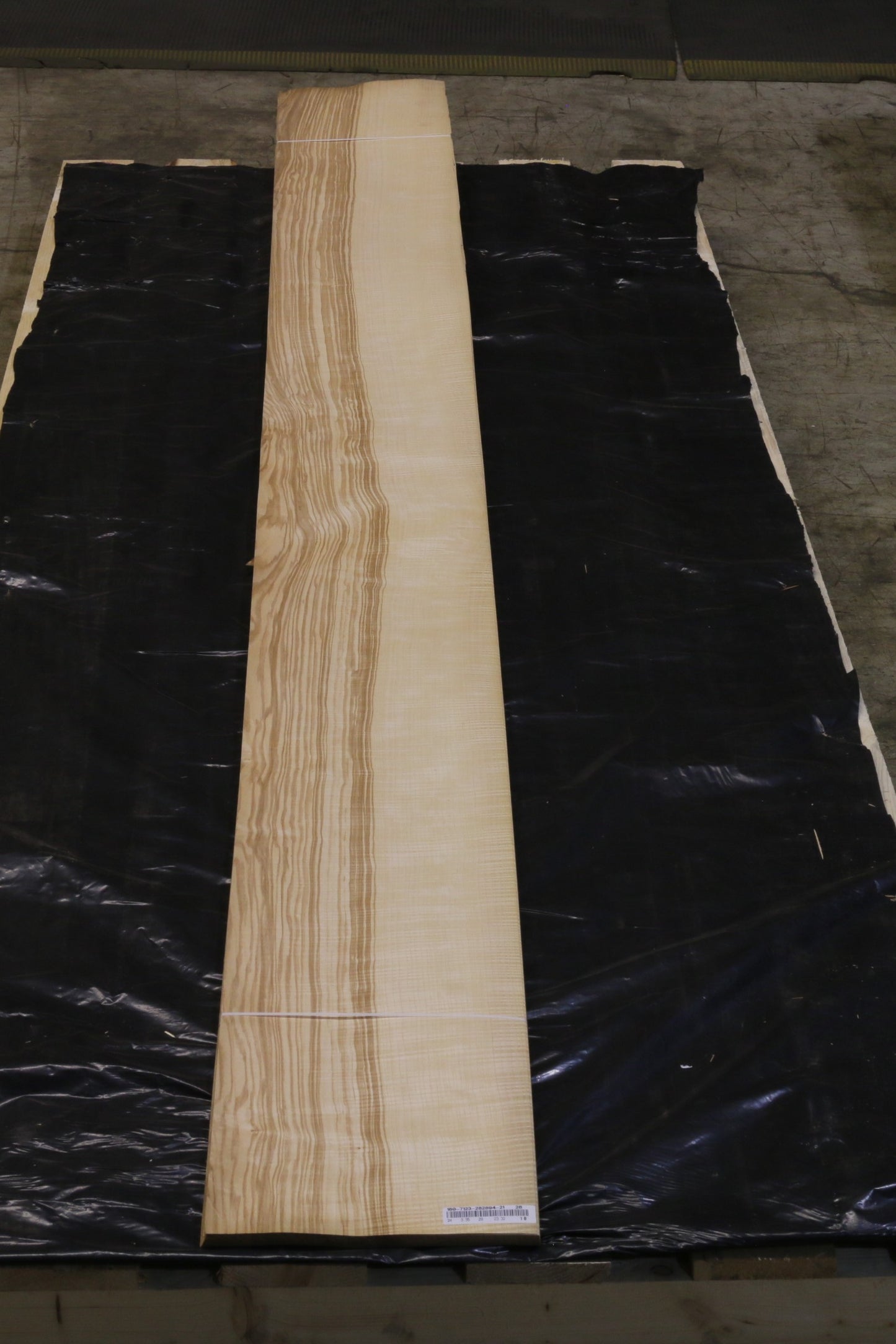 Esche olive (fraxinus excelsior) 0,6mm