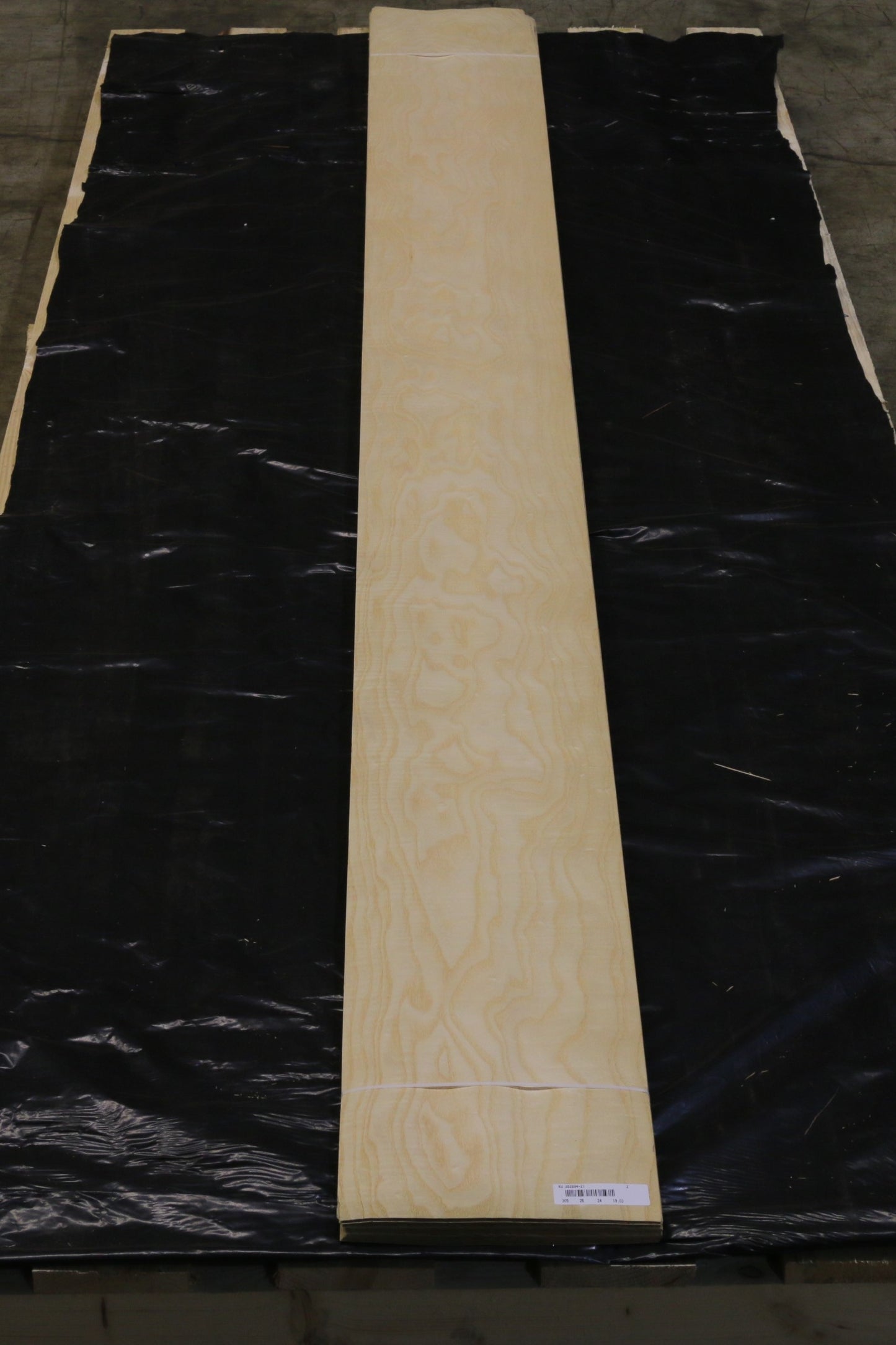 Esche weiß (fraxinus excelsior) 0,6mm