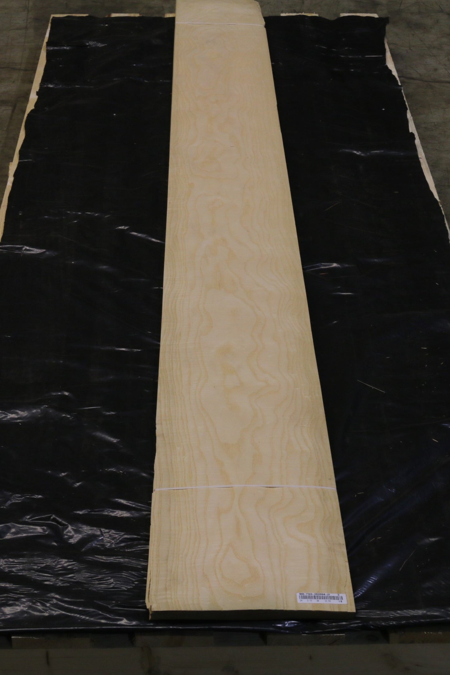 Esche weiß (fraxinus excelsior) 0,6mm