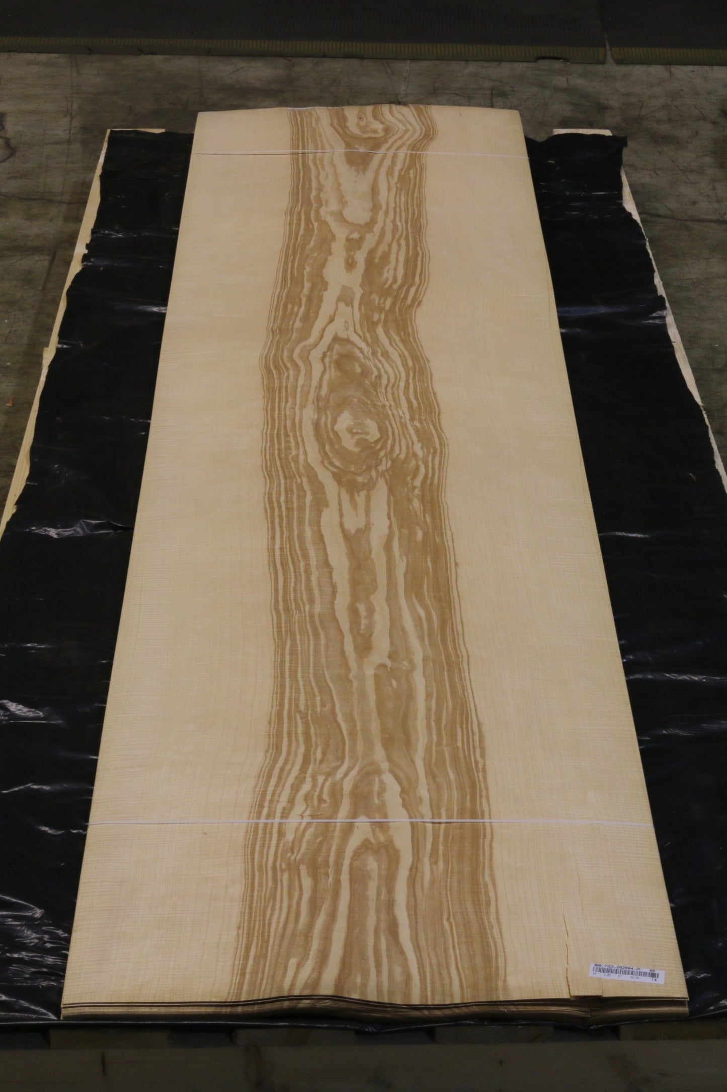 Esche olive (fraxinus excelsior) 0,6mm