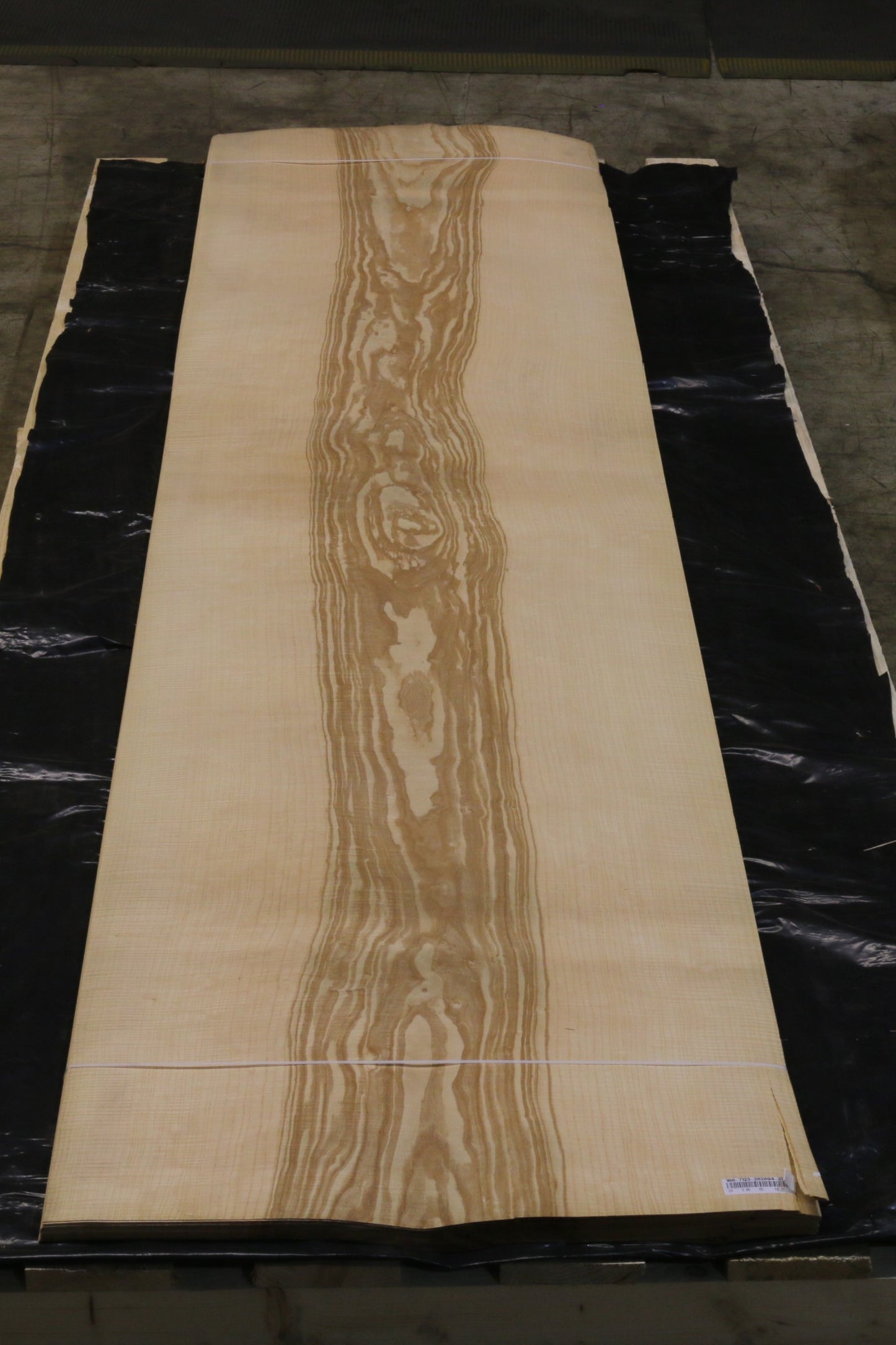 Esche olive (fraxinus excelsior) 0,6mm