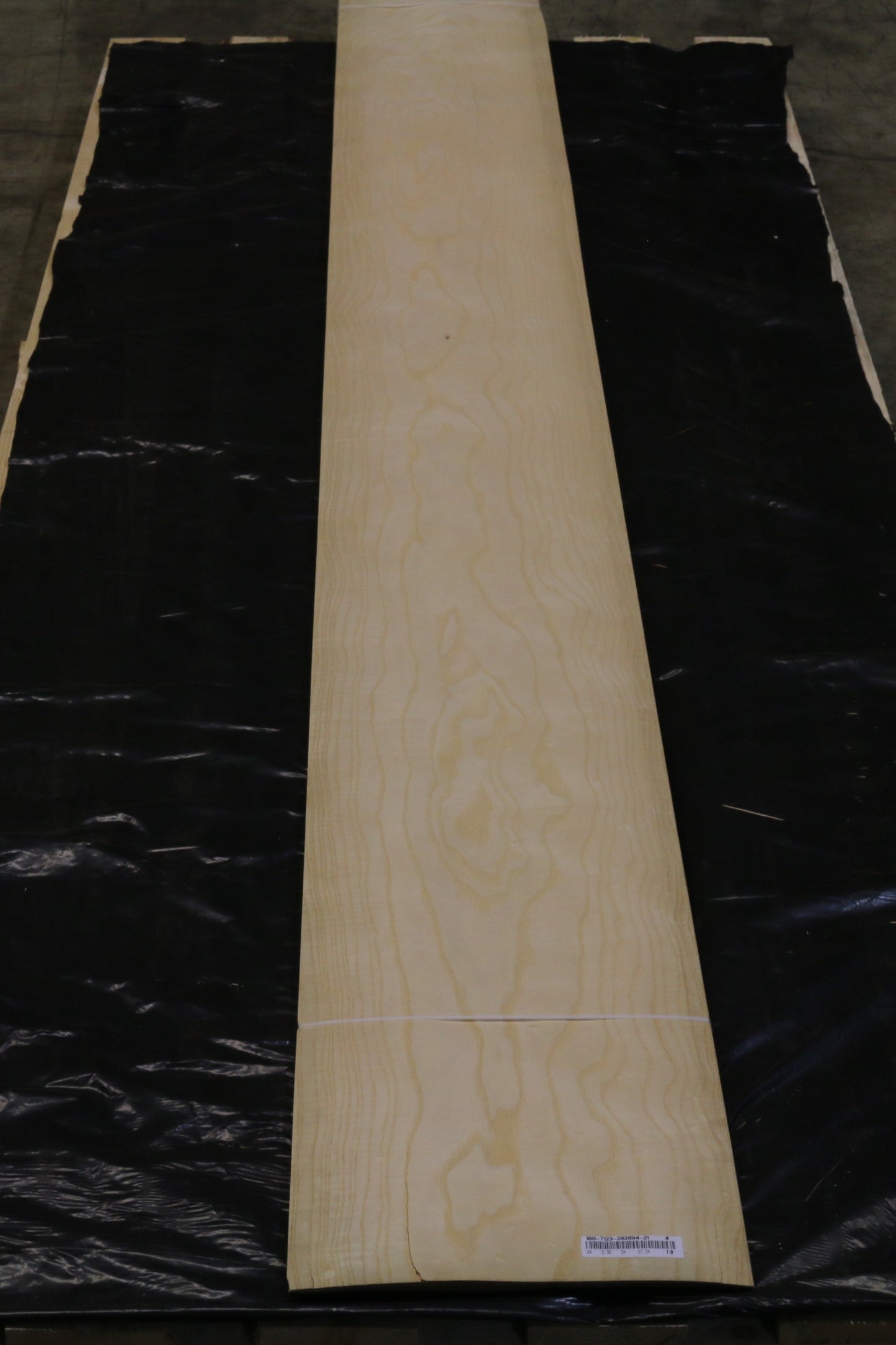 Esche weiß (fraxinus excelsior) 0,6mm