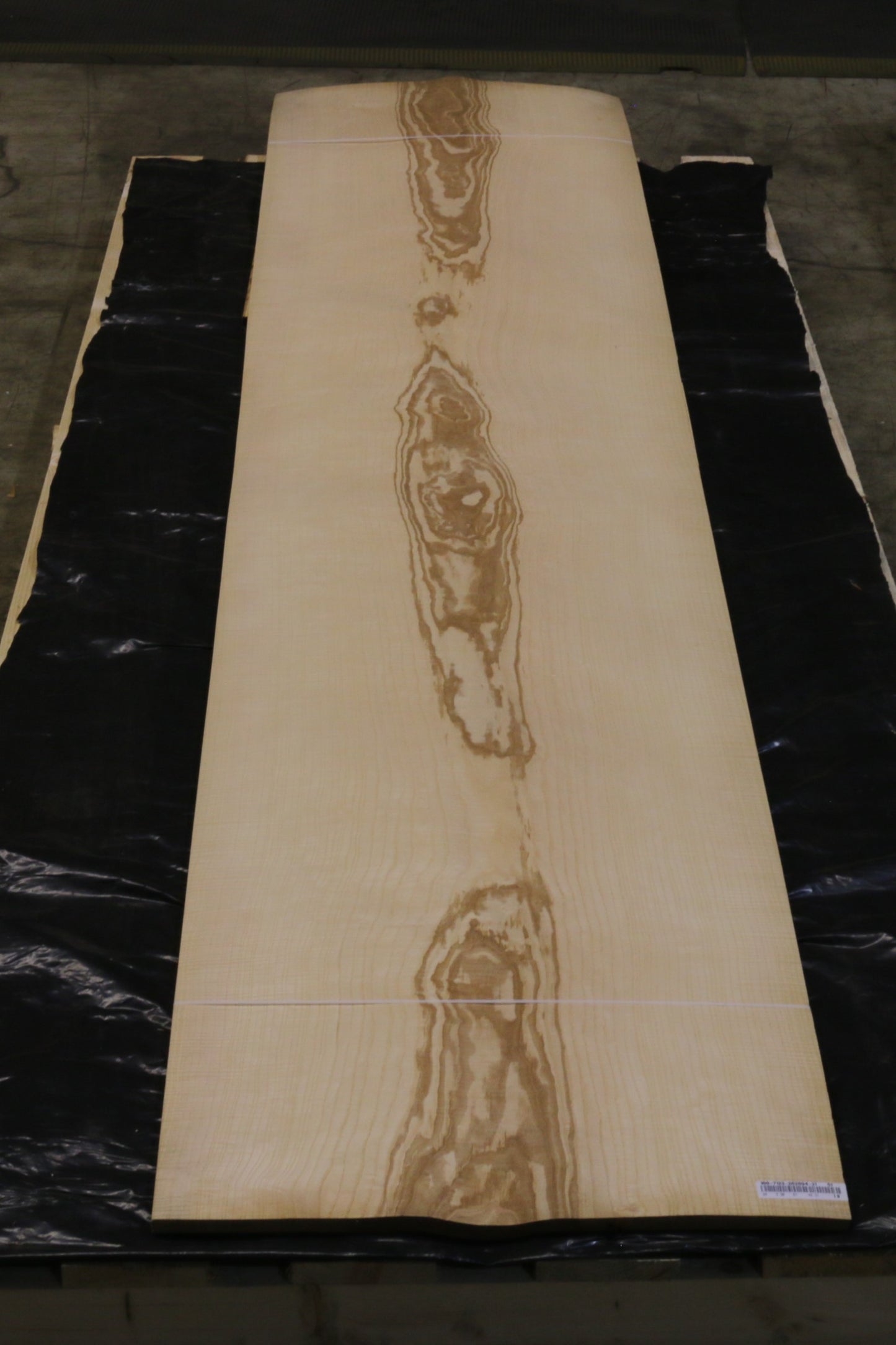 Esche olive (fraxinus excelsior) 0,6mm