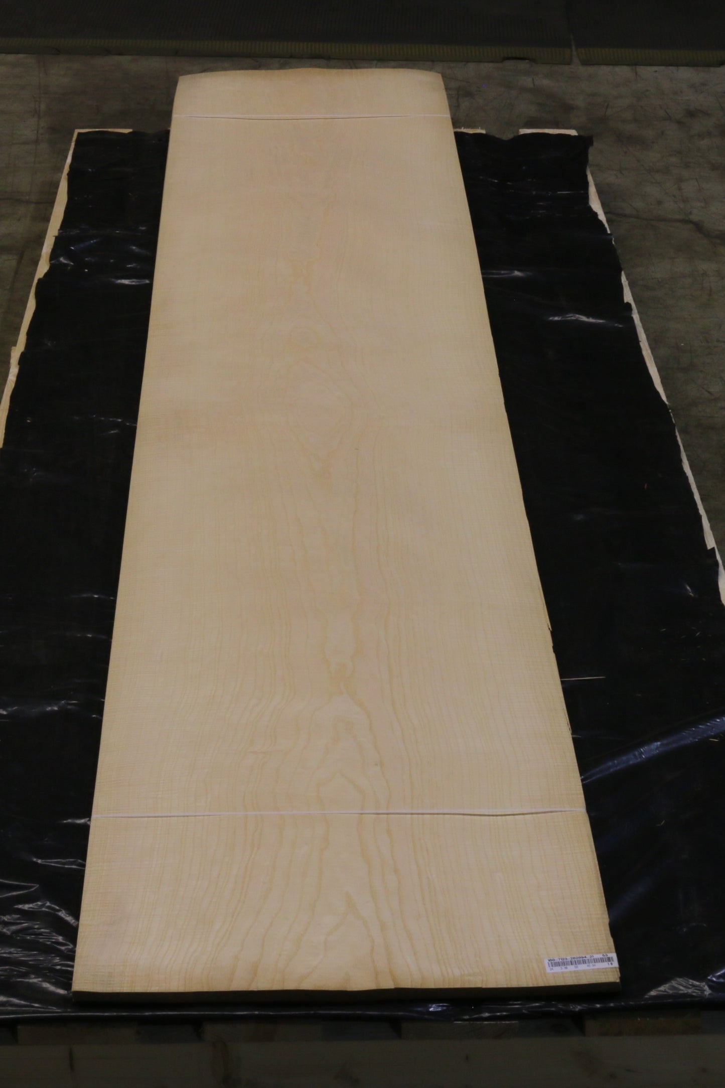 Esche weiß (fraxinus excelsior) 0,6mm