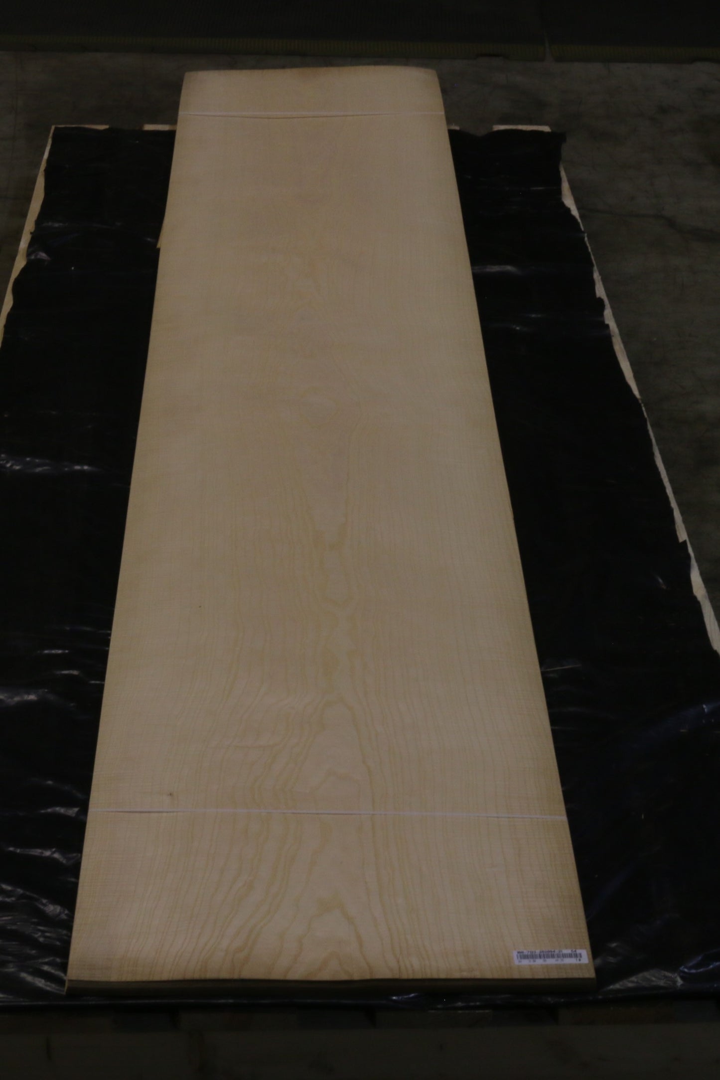 Esche weiß (fraxinus excelsior) 0,6mm