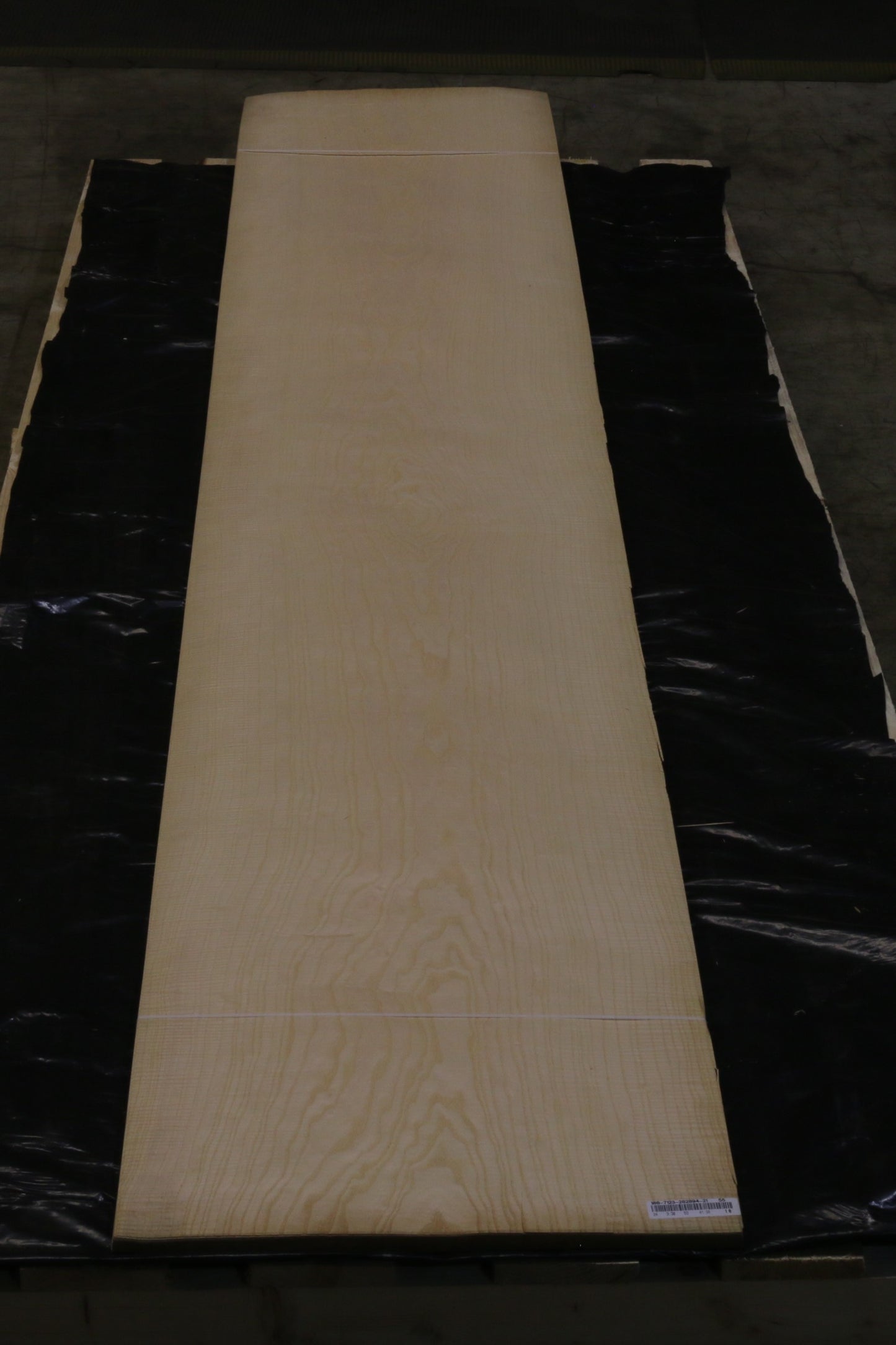 Esche weiß (fraxinus excelsior) 0,6mm