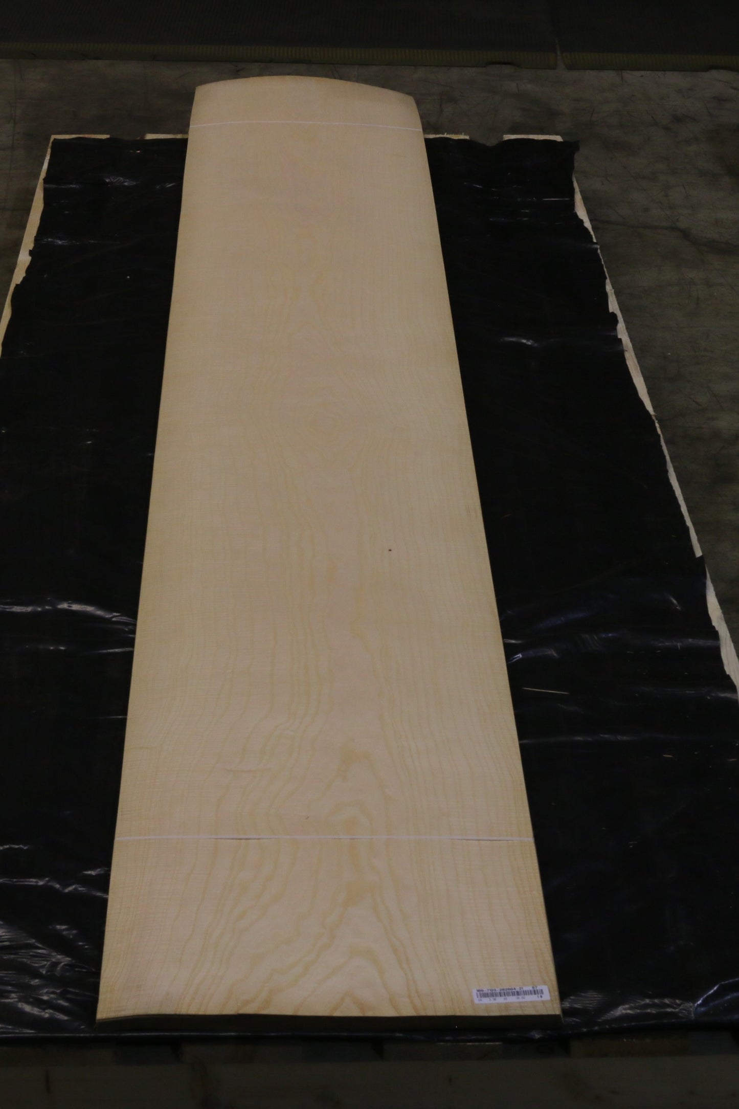 Esche weiß (fraxinus excelsior) 0,6mm