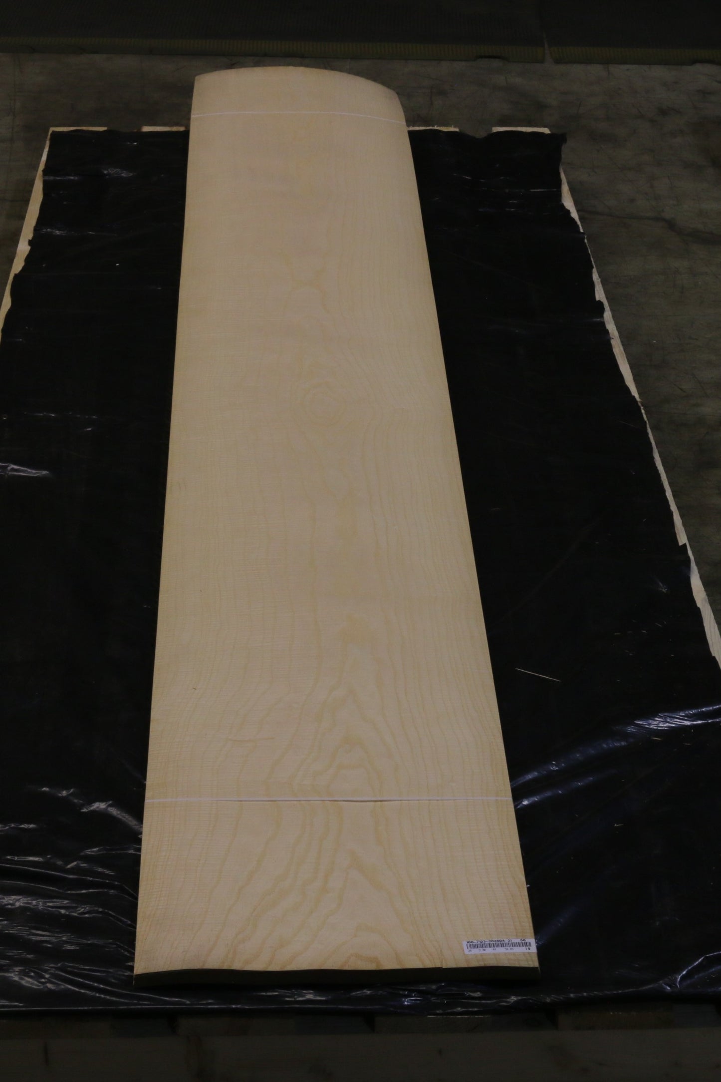 Esche weiß (fraxinus excelsior) 0,6mm