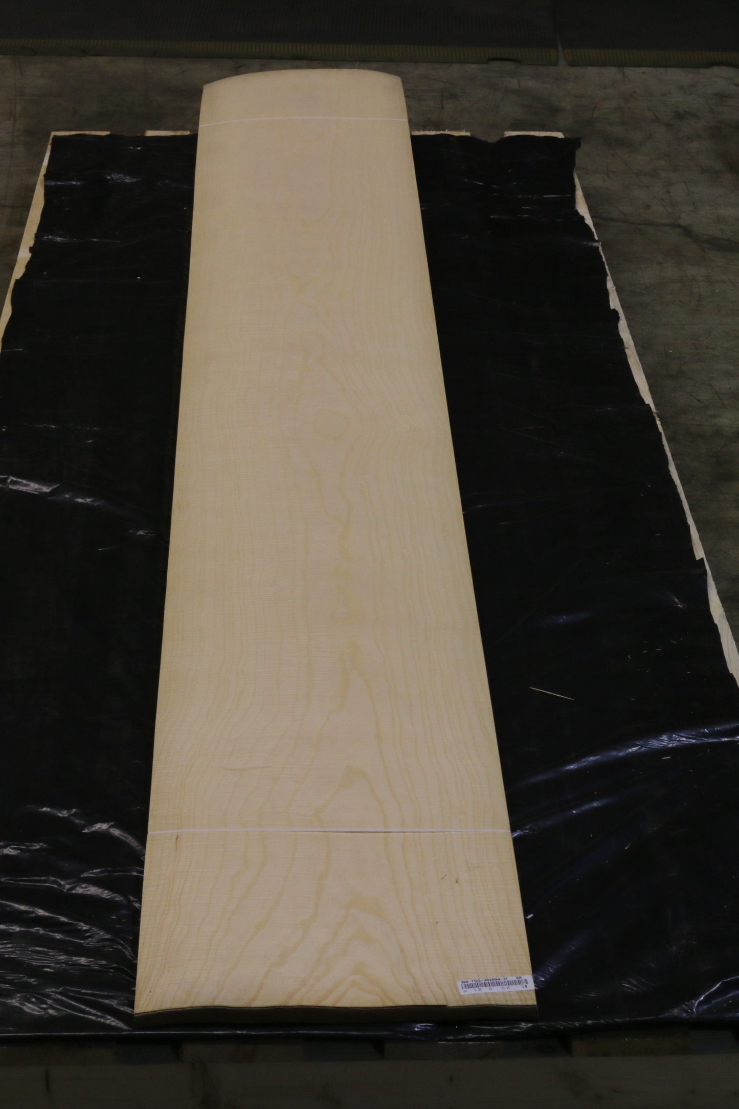 Esche weiß (fraxinus excelsior) 0,6mm