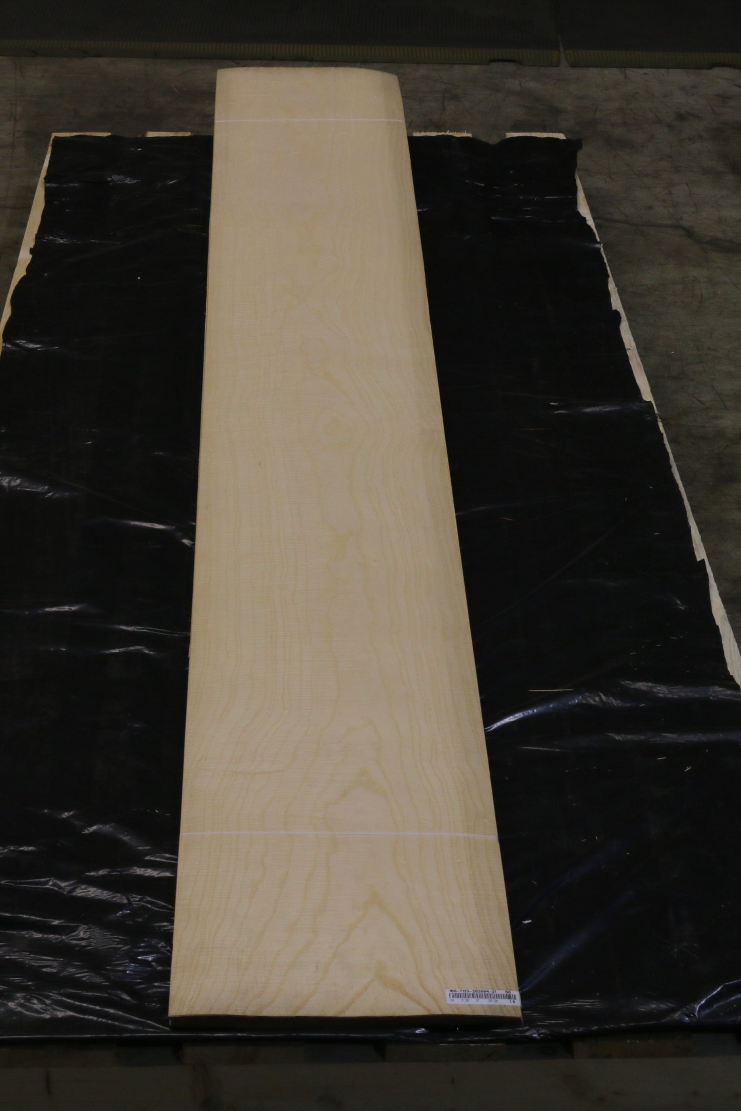 Esche weiß (fraxinus excelsior) 0,6mm