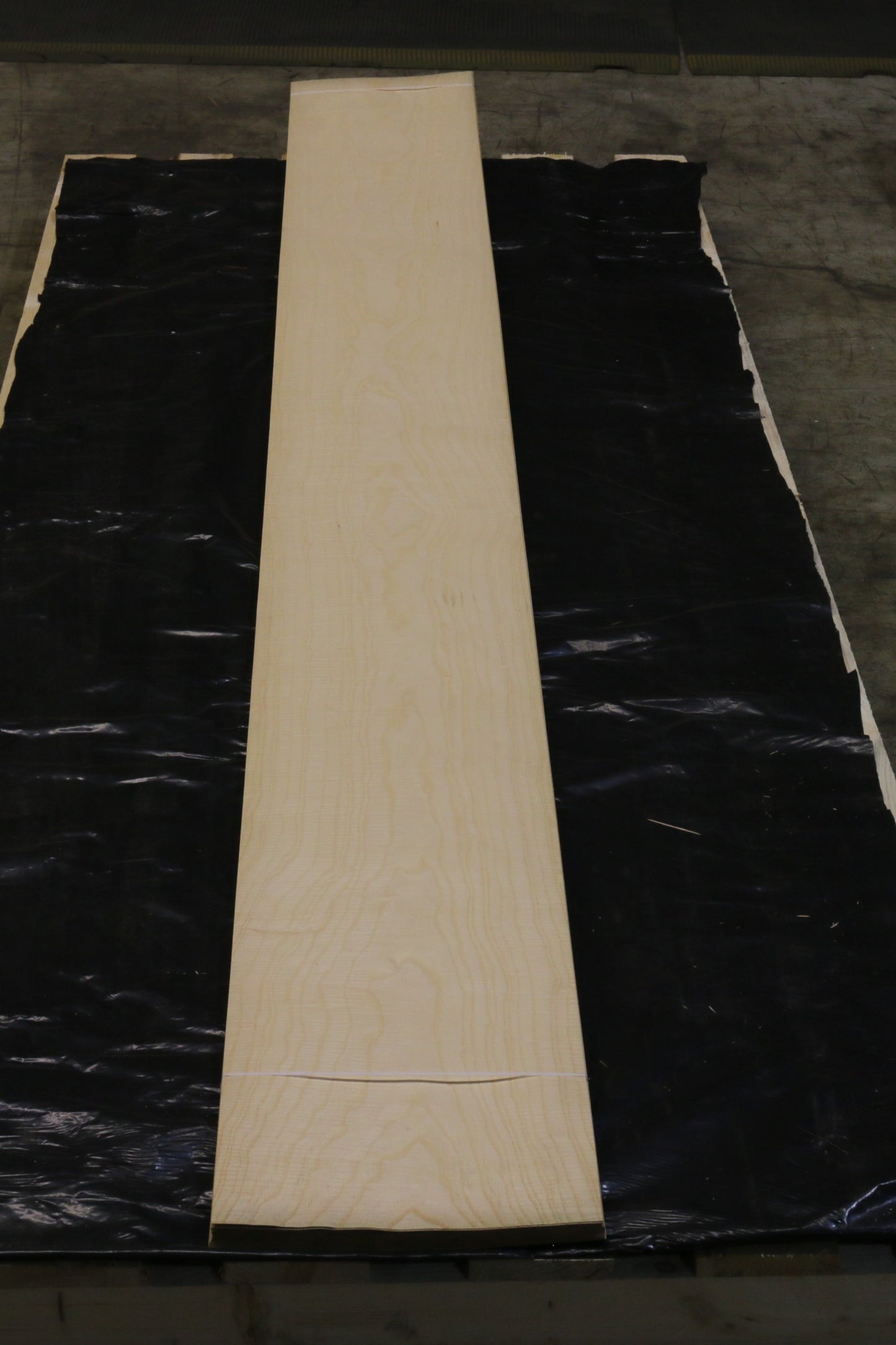 Esche weiß (fraxinus excelsior) 0,6mm