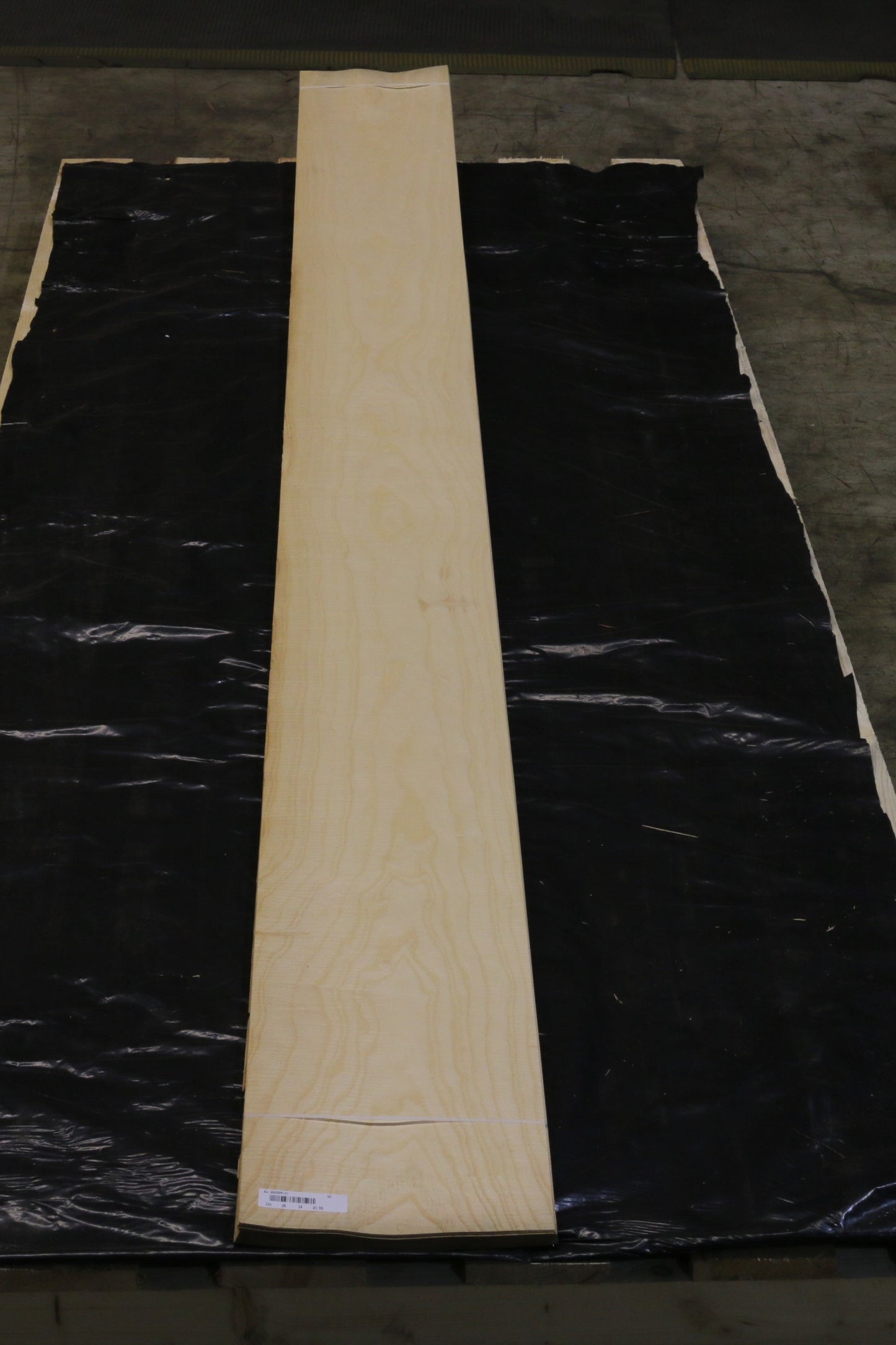 Esche weiß (fraxinus excelsior) 0,6mm