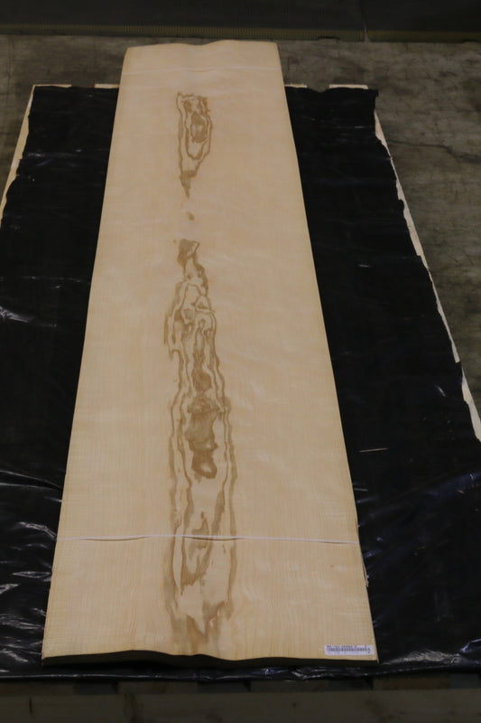 Esche olive (fraxinus excelsior) 0,6mm