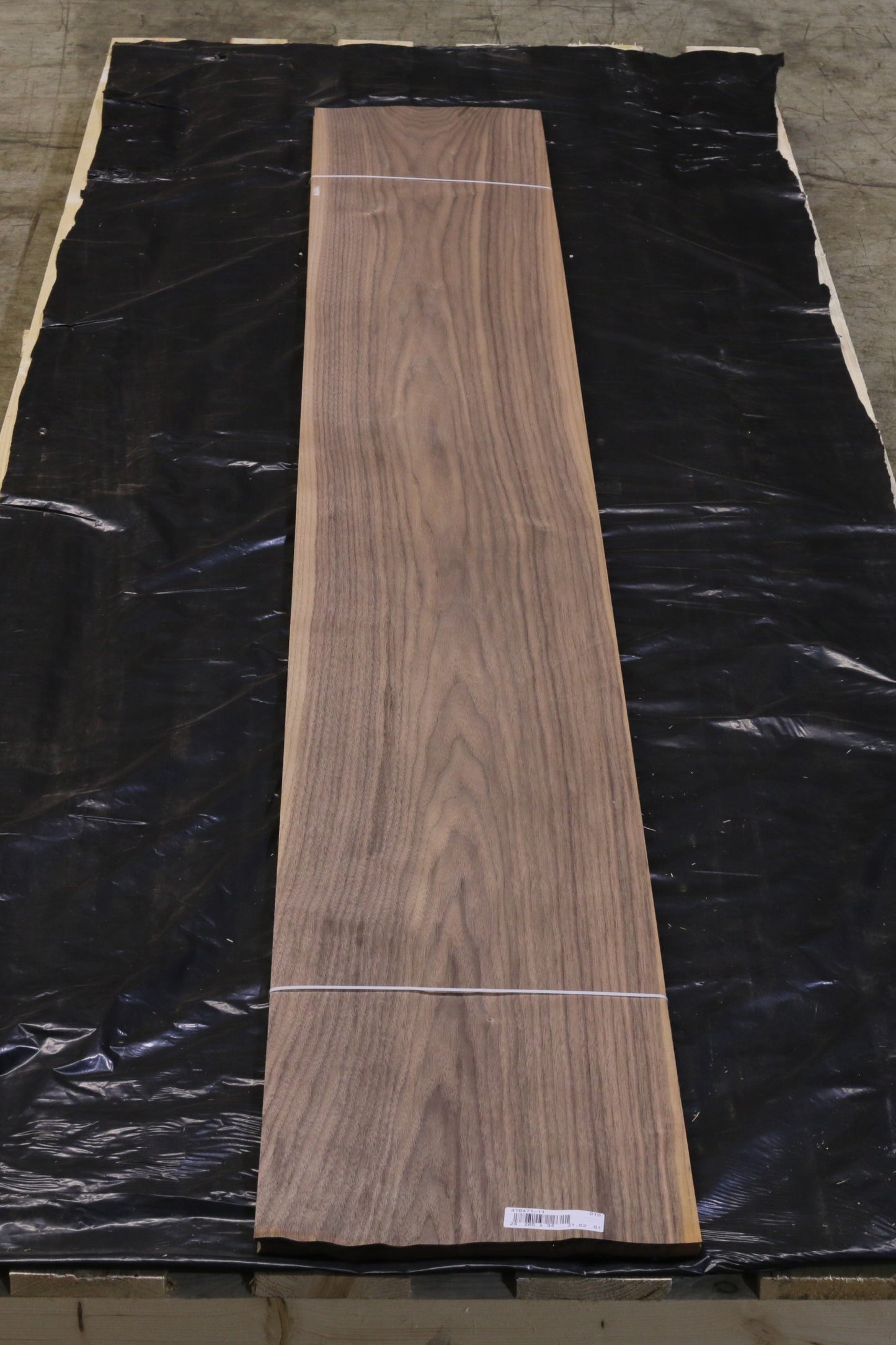 Ami Nußbaum (juglans nigra) 0,6mm