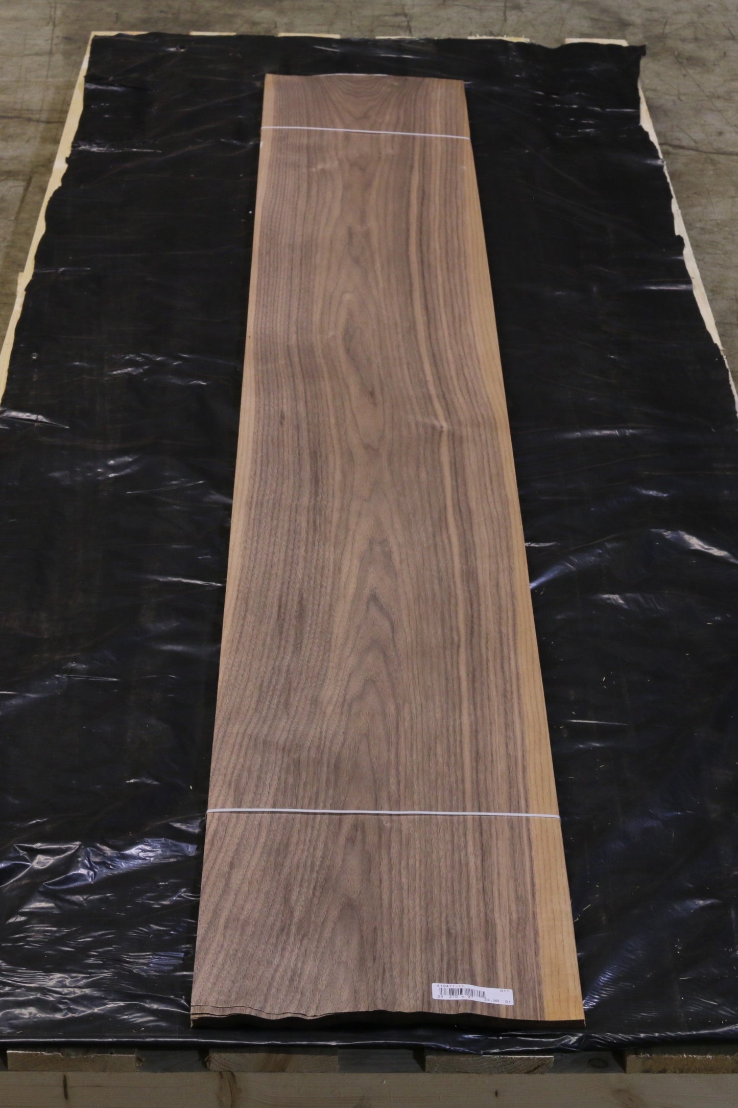 Ami Nußbaum (juglans nigra) 0,6mm