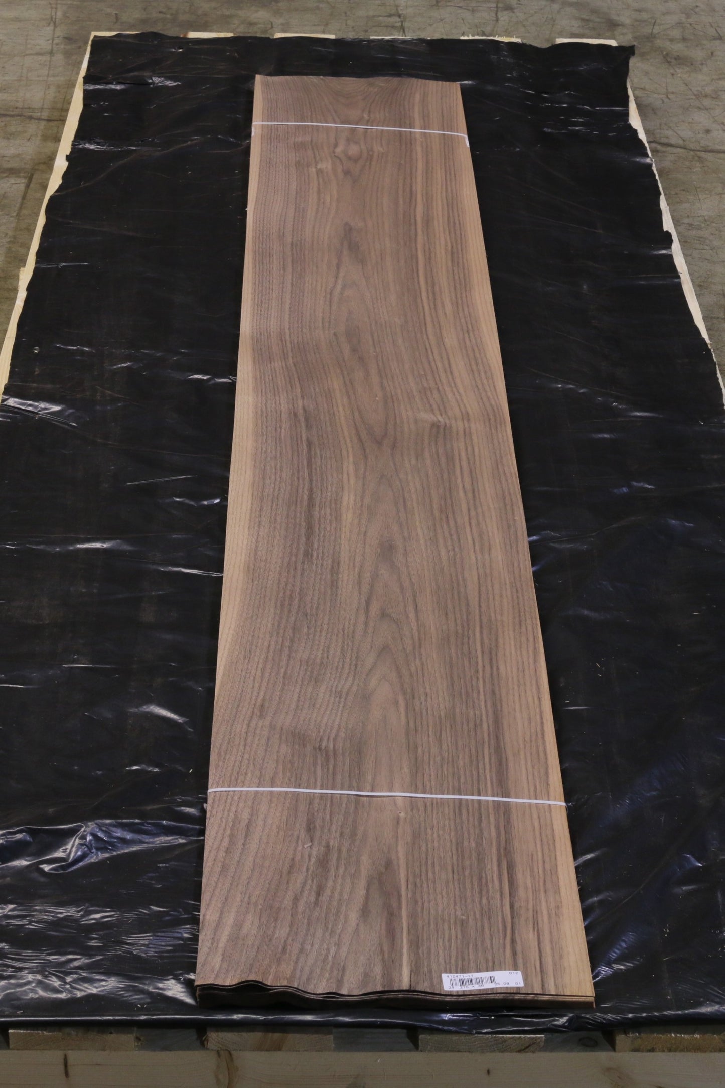 Ami Nußbaum (juglans nigra) 0,6mm