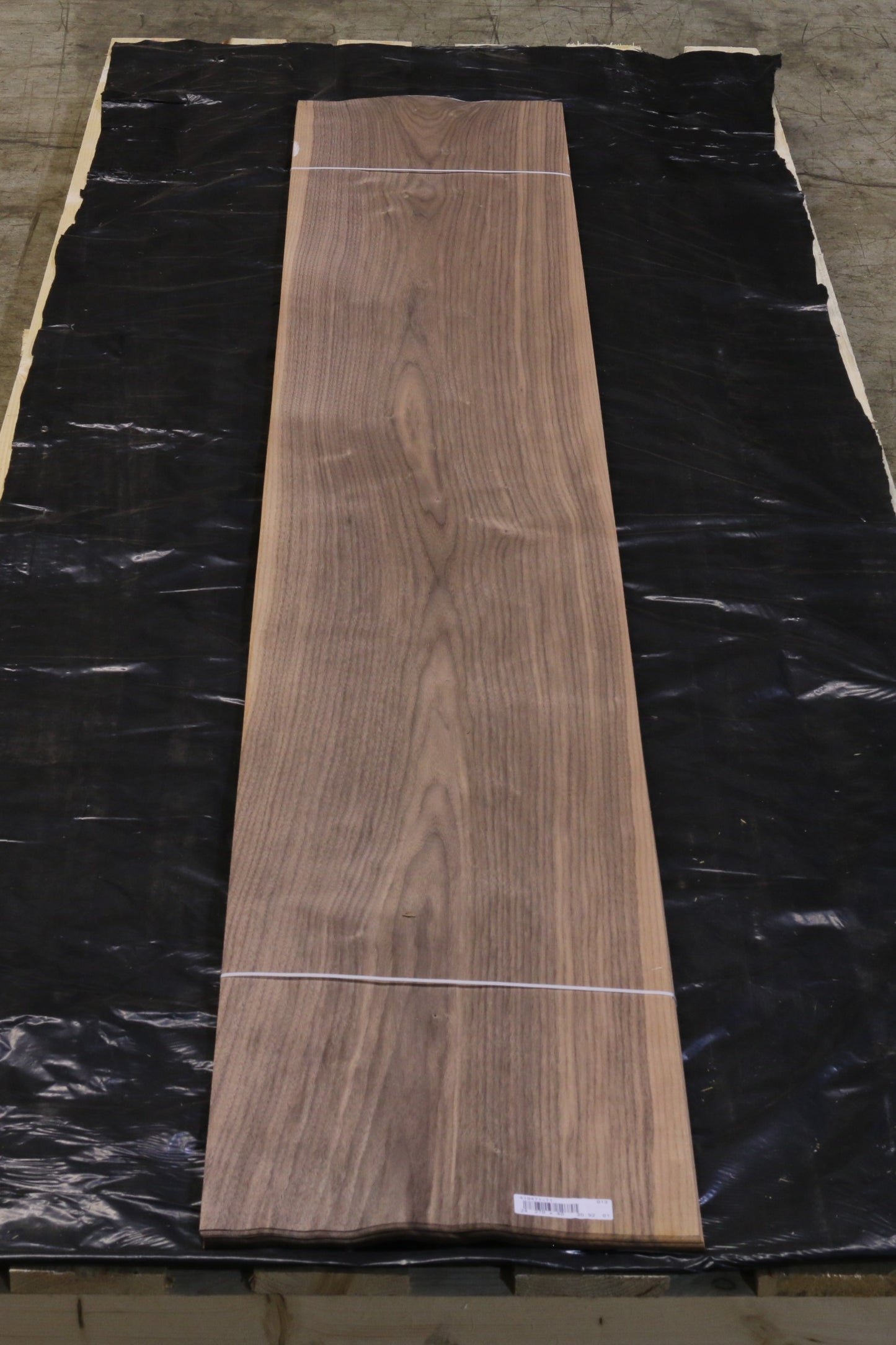 Ami Nußbaum (juglans nigra) 0,6mm