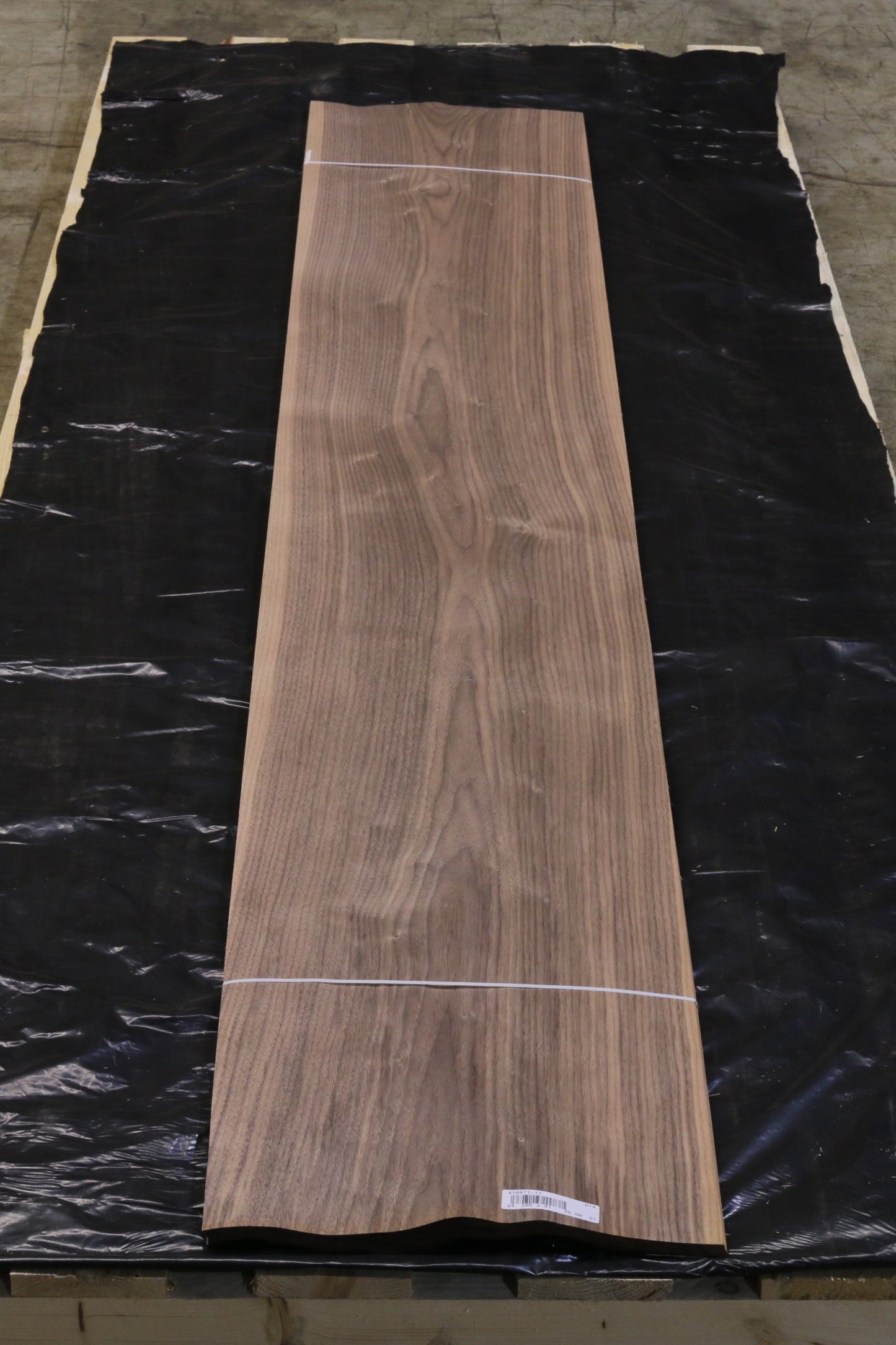 Ami Nußbaum (juglans nigra) 0,6mm