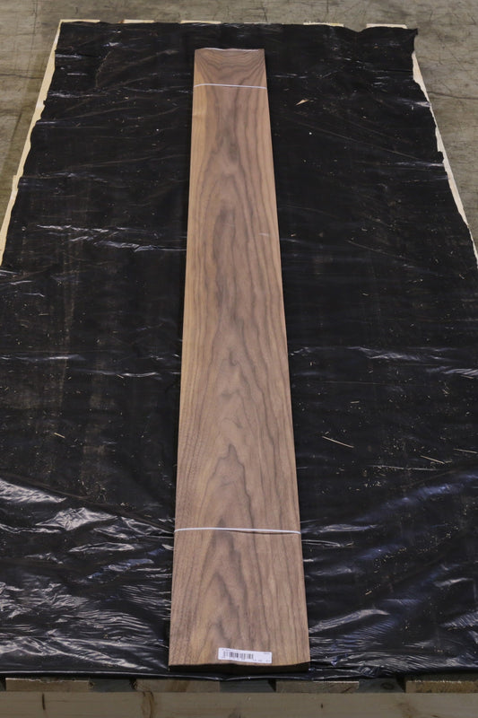 Ami Nußbaum (juglans nigra) 0,6mm