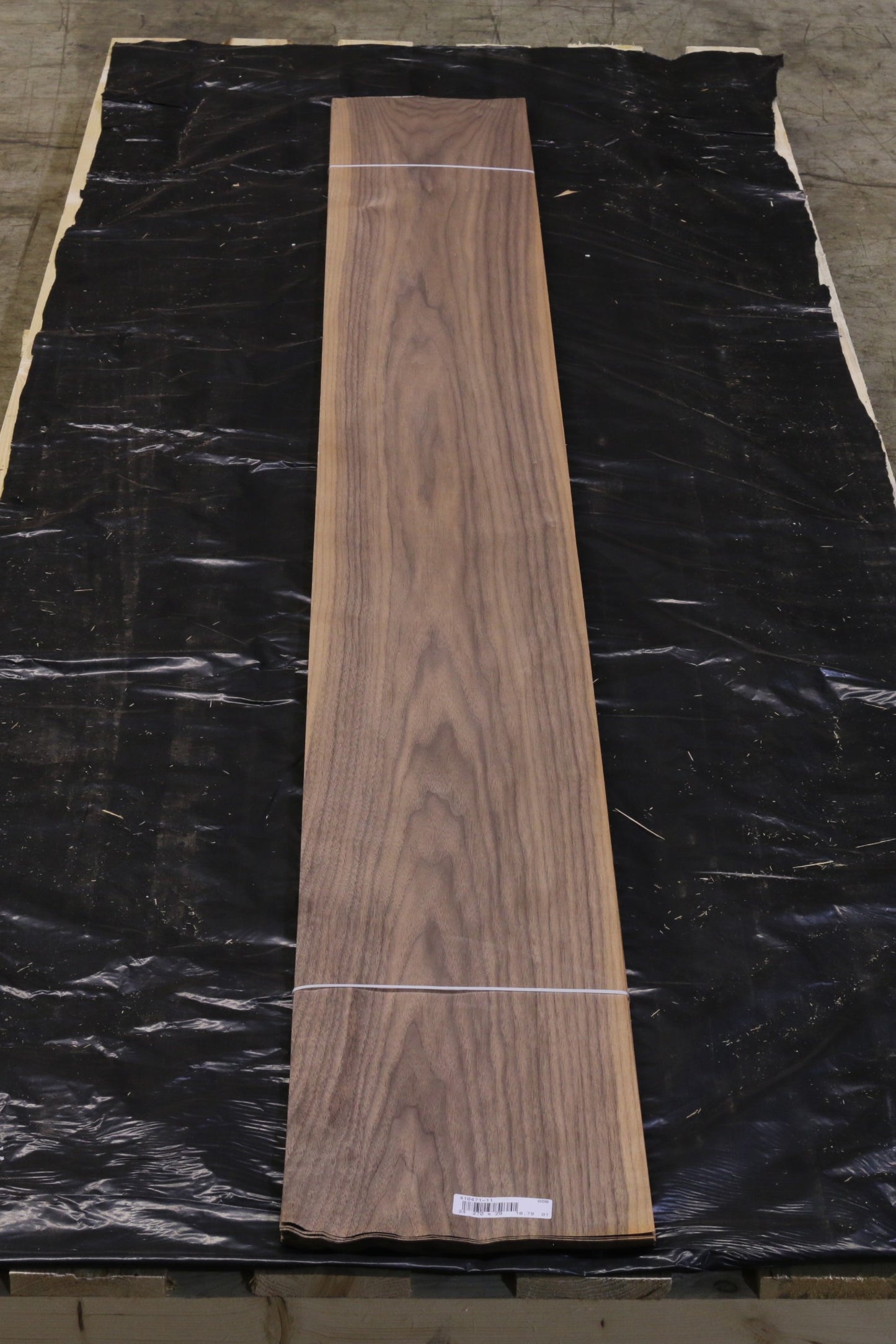 Ami Nußbaum (juglans nigra) 0,6mm