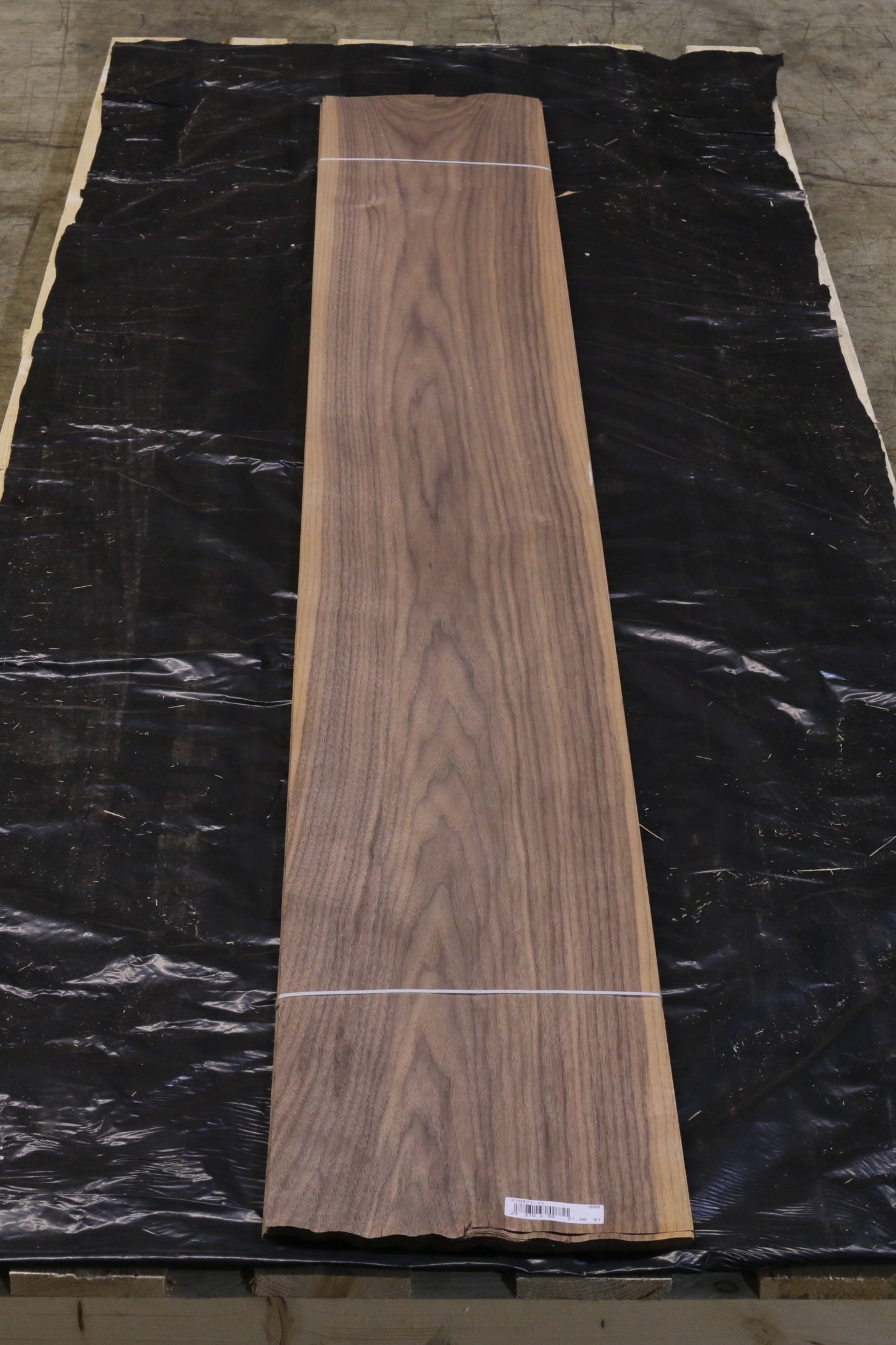 Ami Nußbaum (juglans nigra) 0,6mm