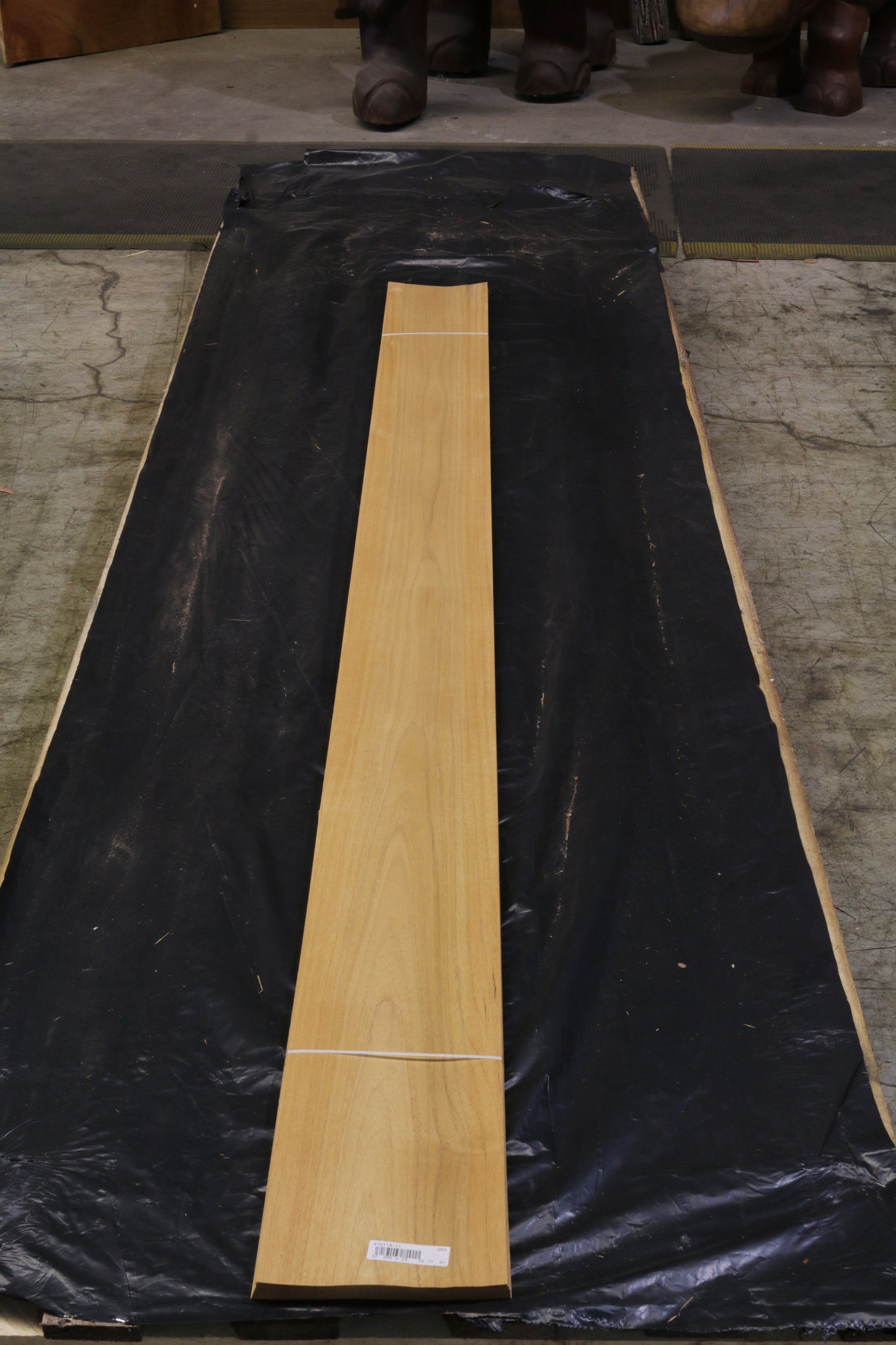 Plantagen Teak (tectona grandis) 0,55mm