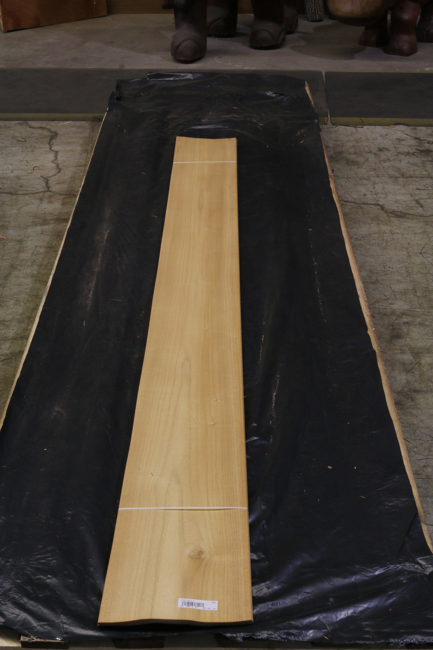 Plantagen Teak (tectona grandis) 0,55mm