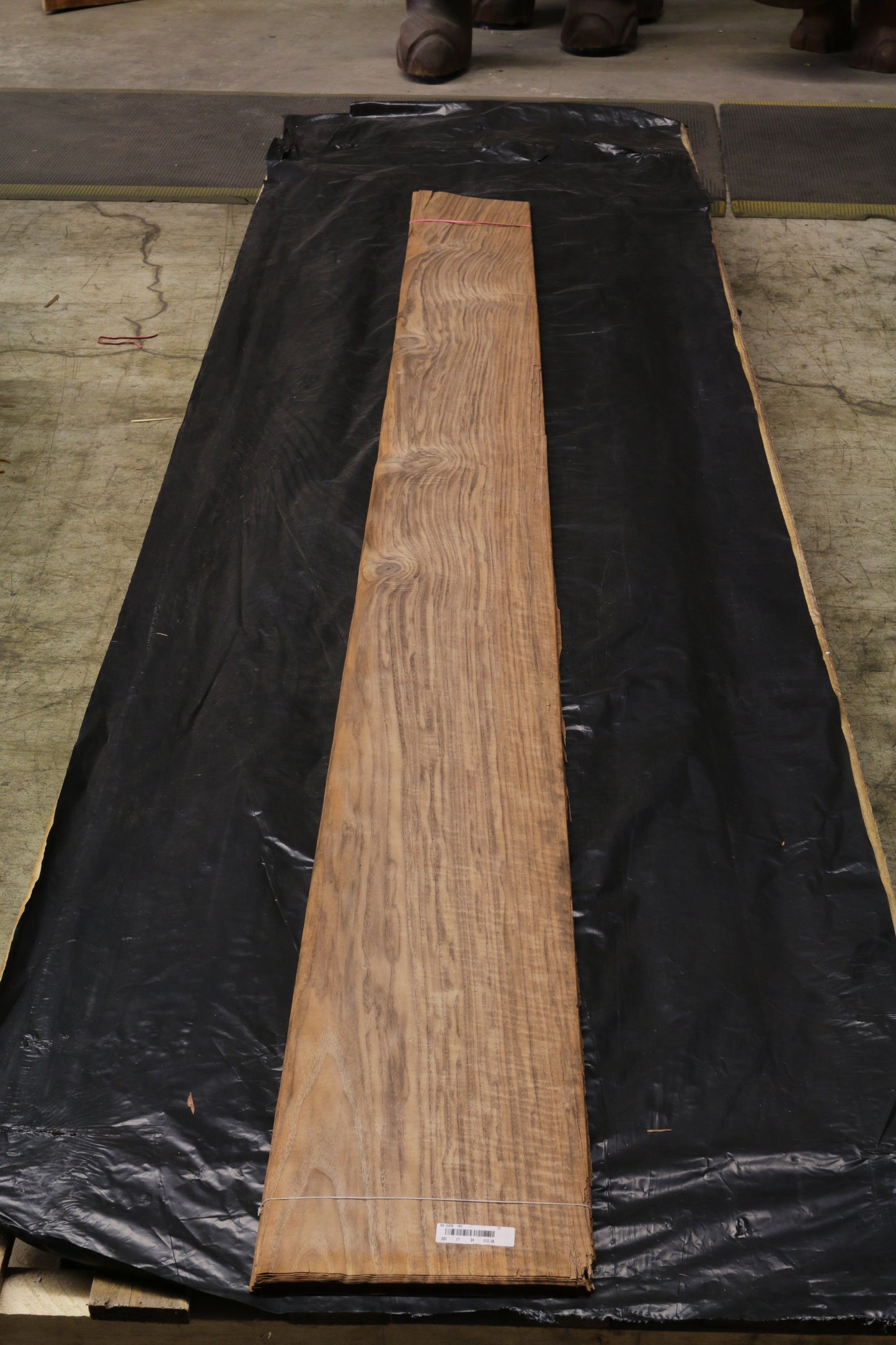 Euro Nußbaum (juglans regia) 0,6mm