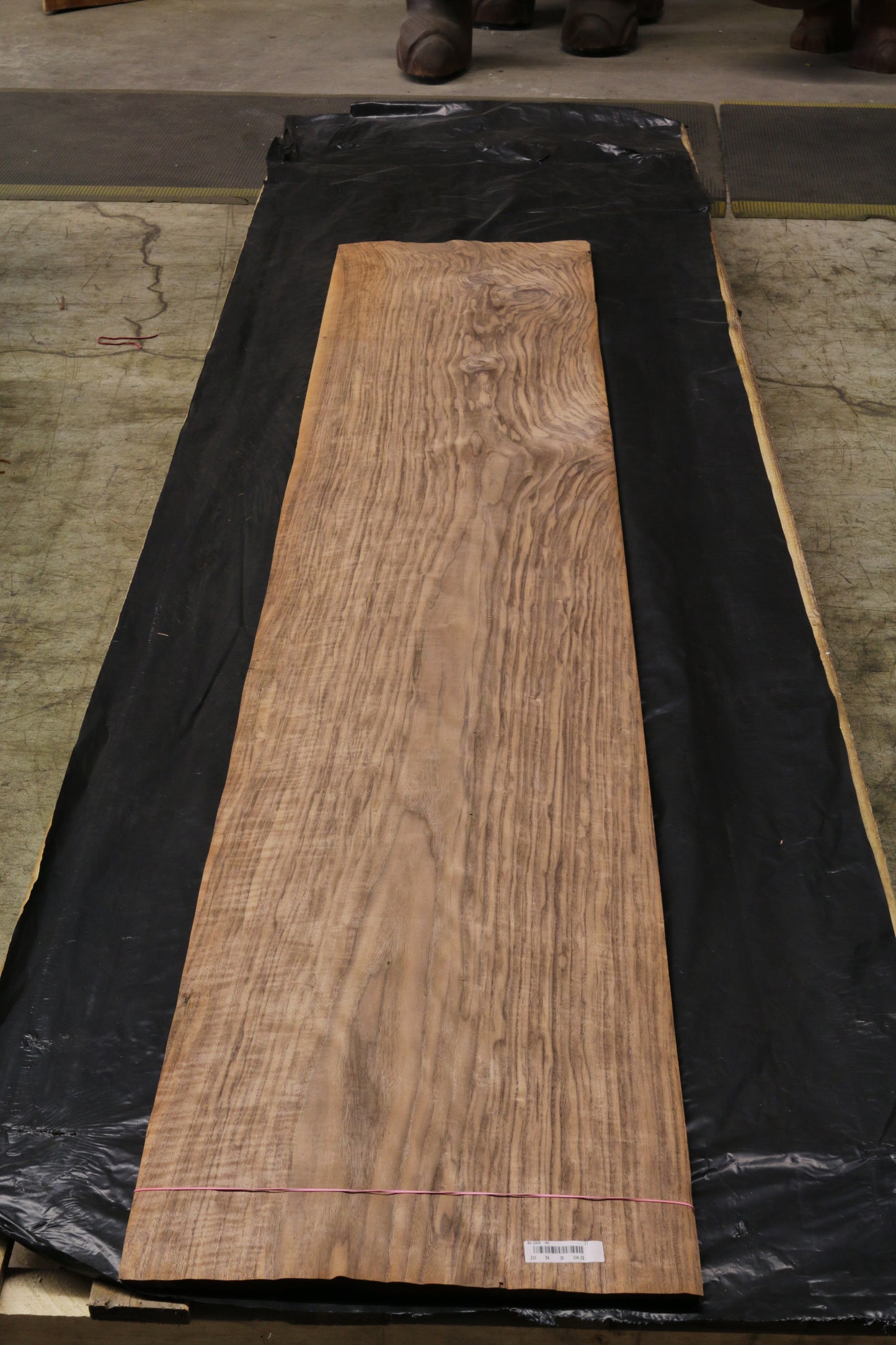 Euro Nußbaum (juglans regia) 0,6mm