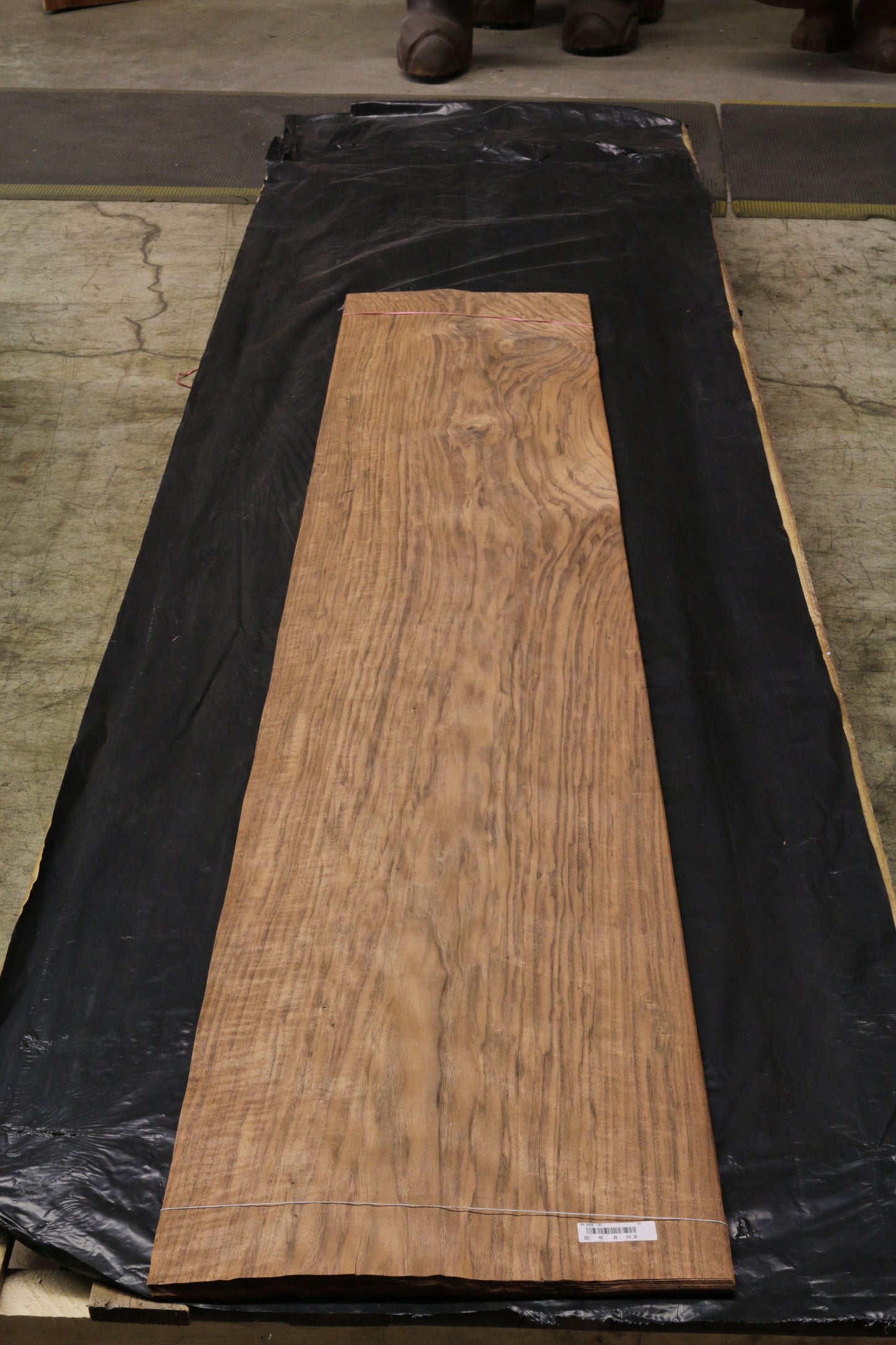 Euro Nußbaum (juglans regia) 0,6mm