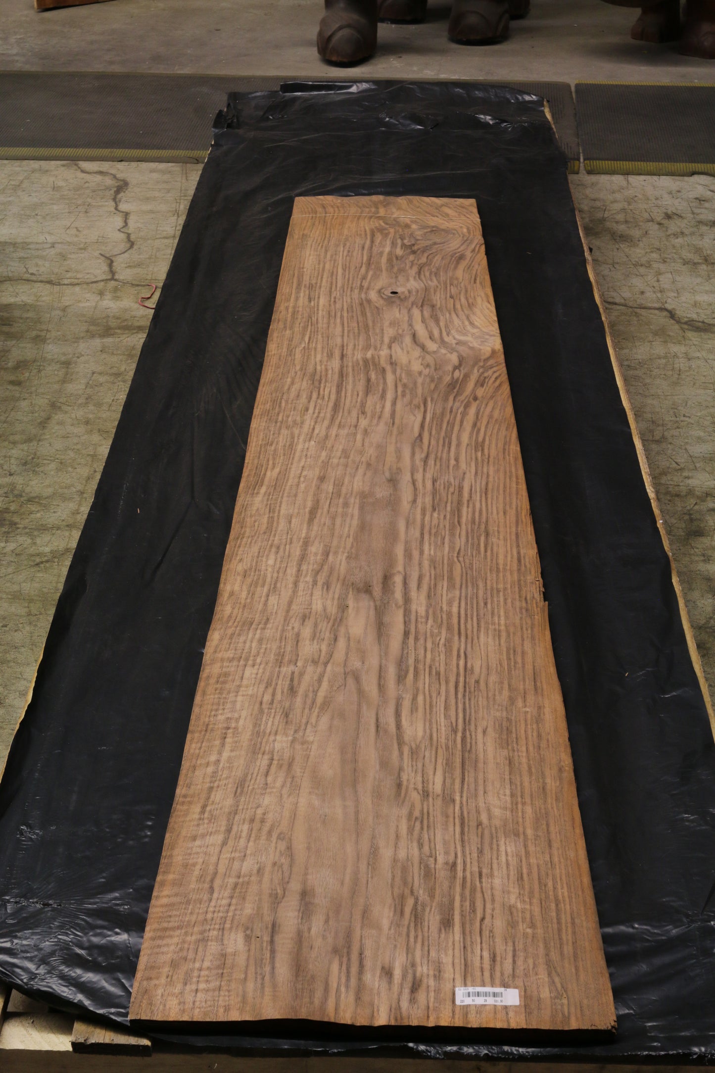 Euro Nußbaum (juglans regia) 0,6mm