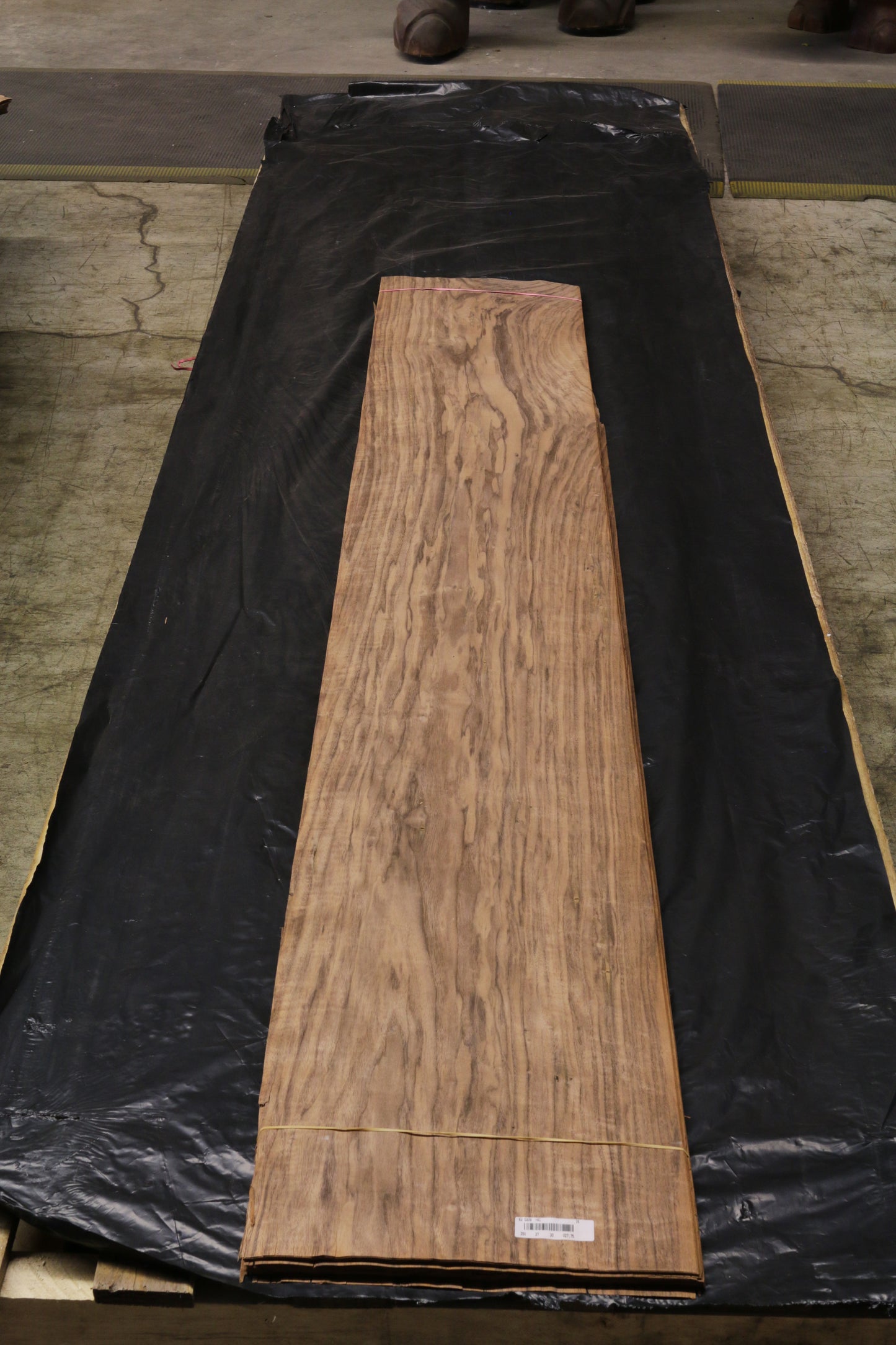 Euro Nußbaum (juglans regia) 0,6mm