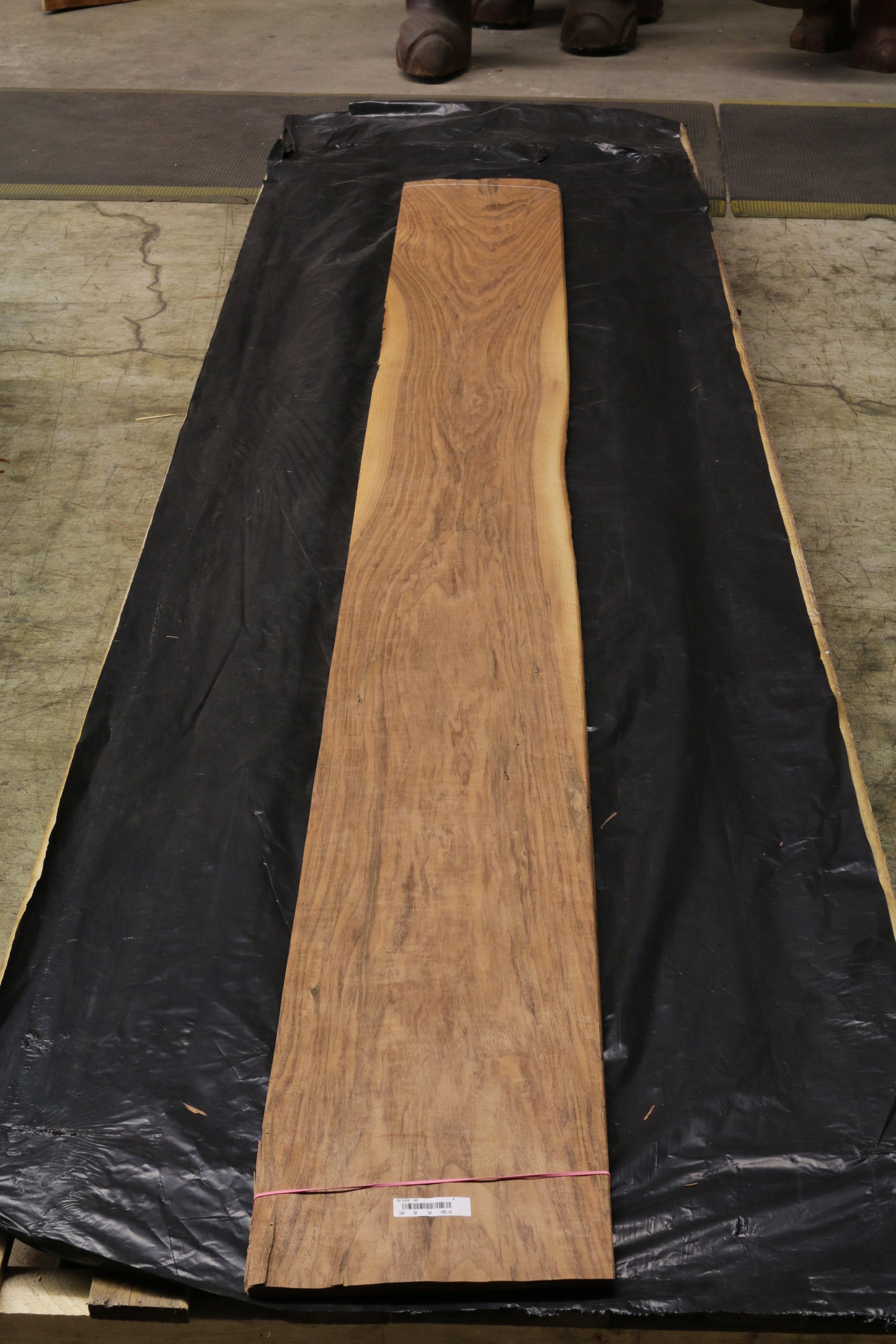 Euro Nußbaum (juglans regia) 0,6mm