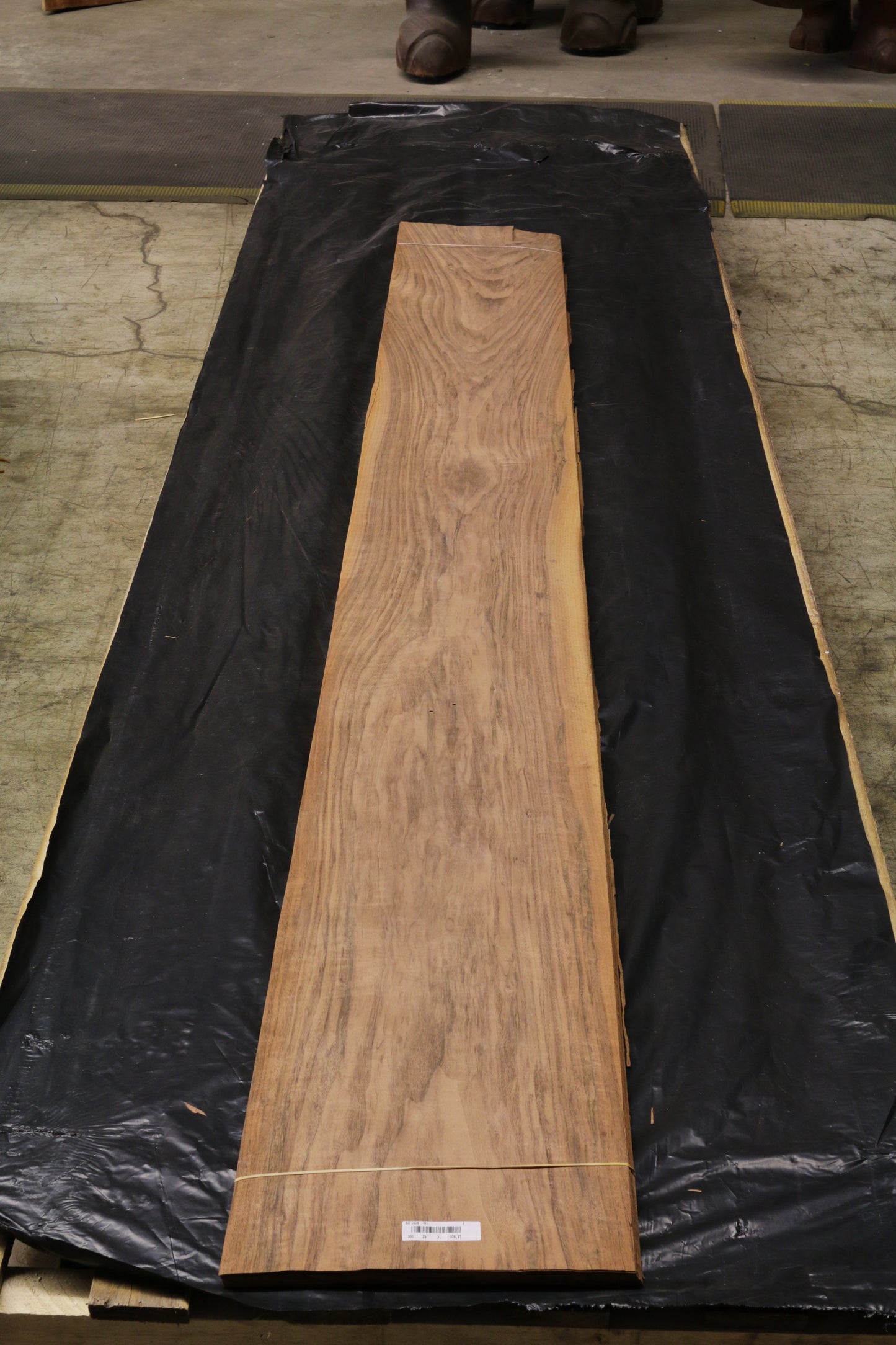 Euro Nußbaum (juglans regia) 0,6mm