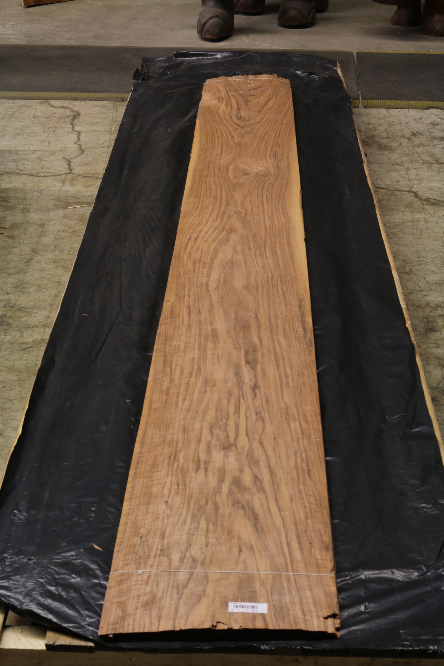 Euro Nußbaum (juglans regia) 0,6mm