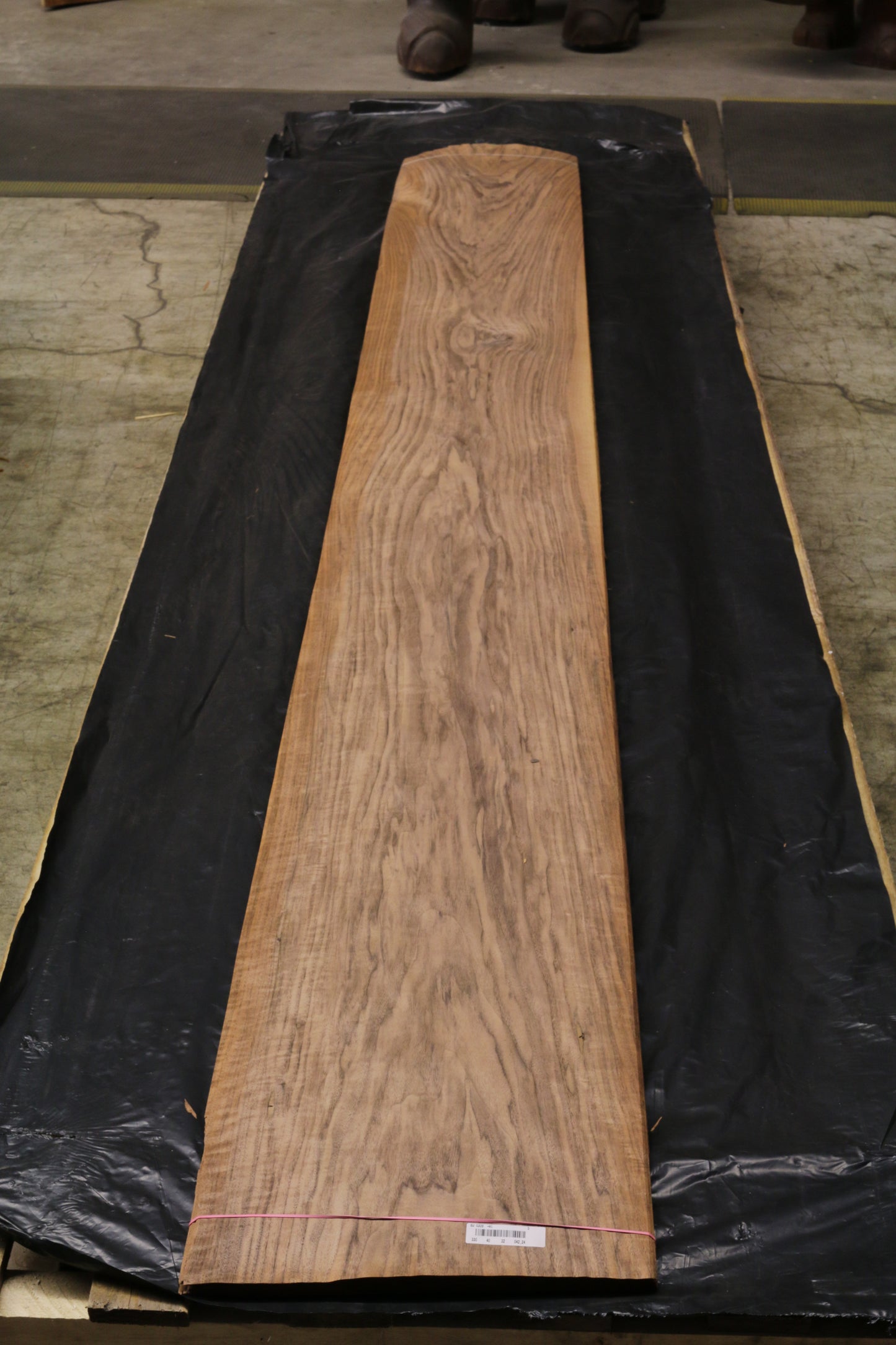 Euro Nußbaum (juglans regia) 0,6mm