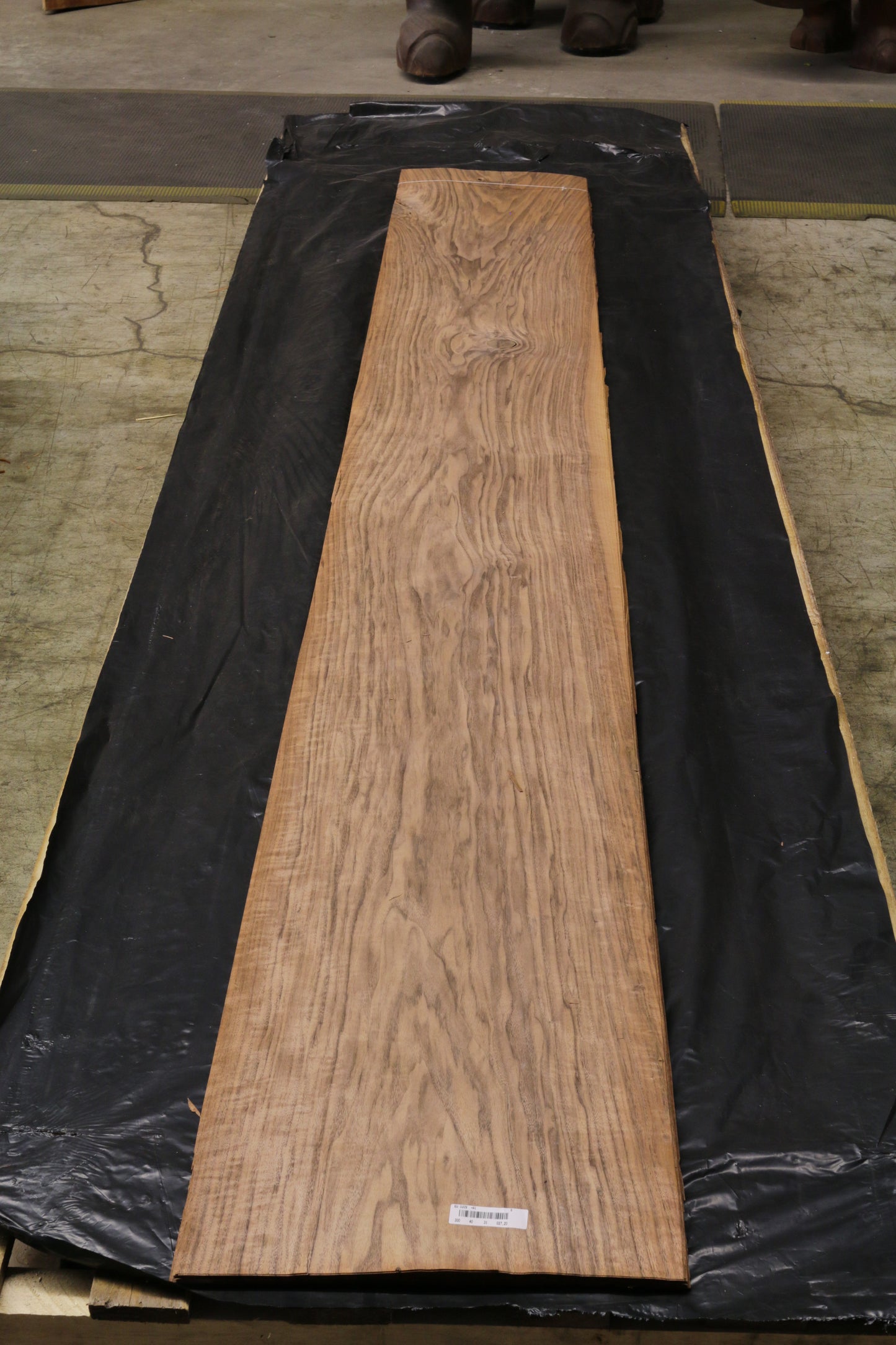 Euro Nußbaum (juglans regia) 0,6mm