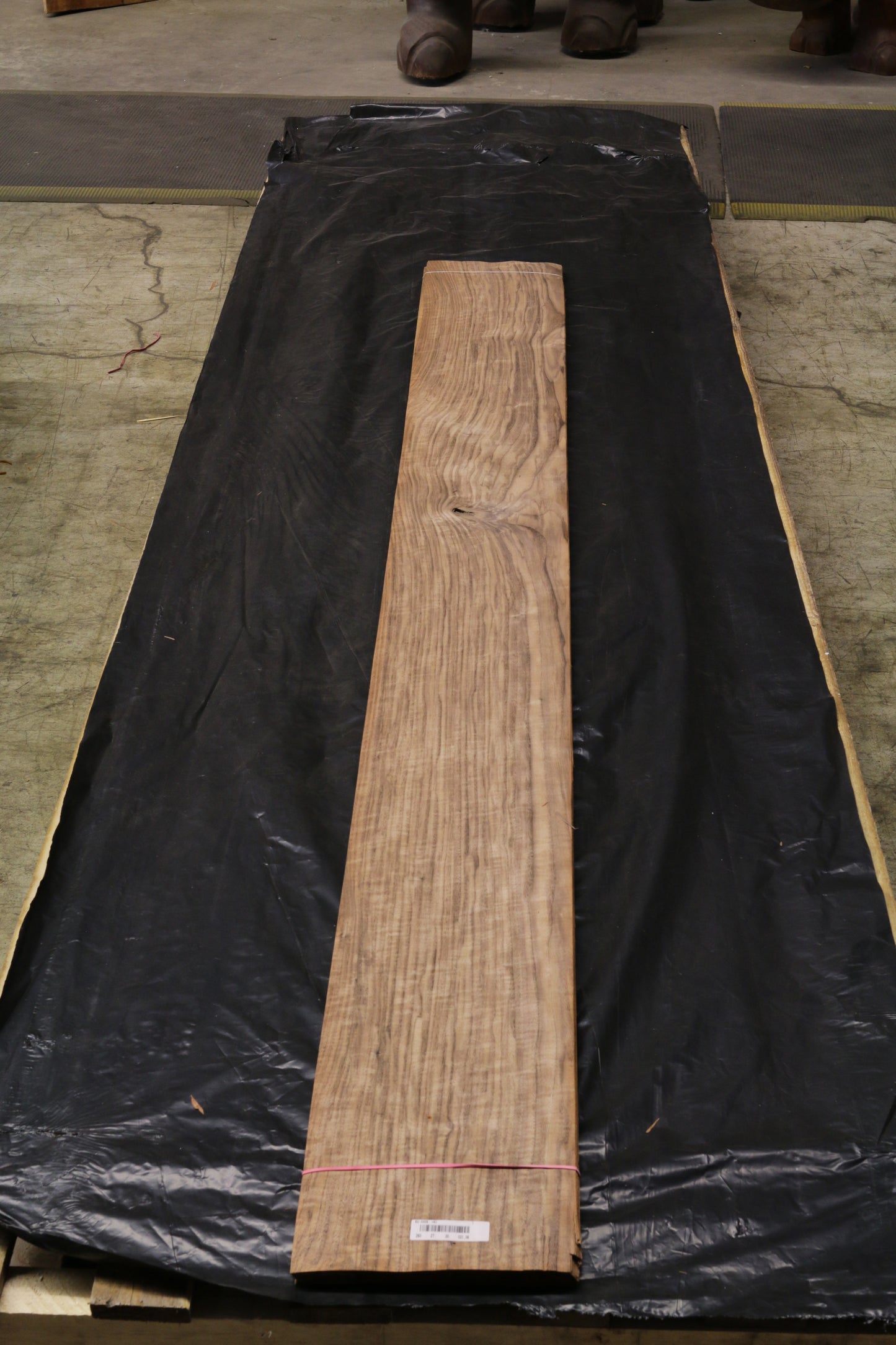 Euro Nußbaum (juglans regia) 0,6mm