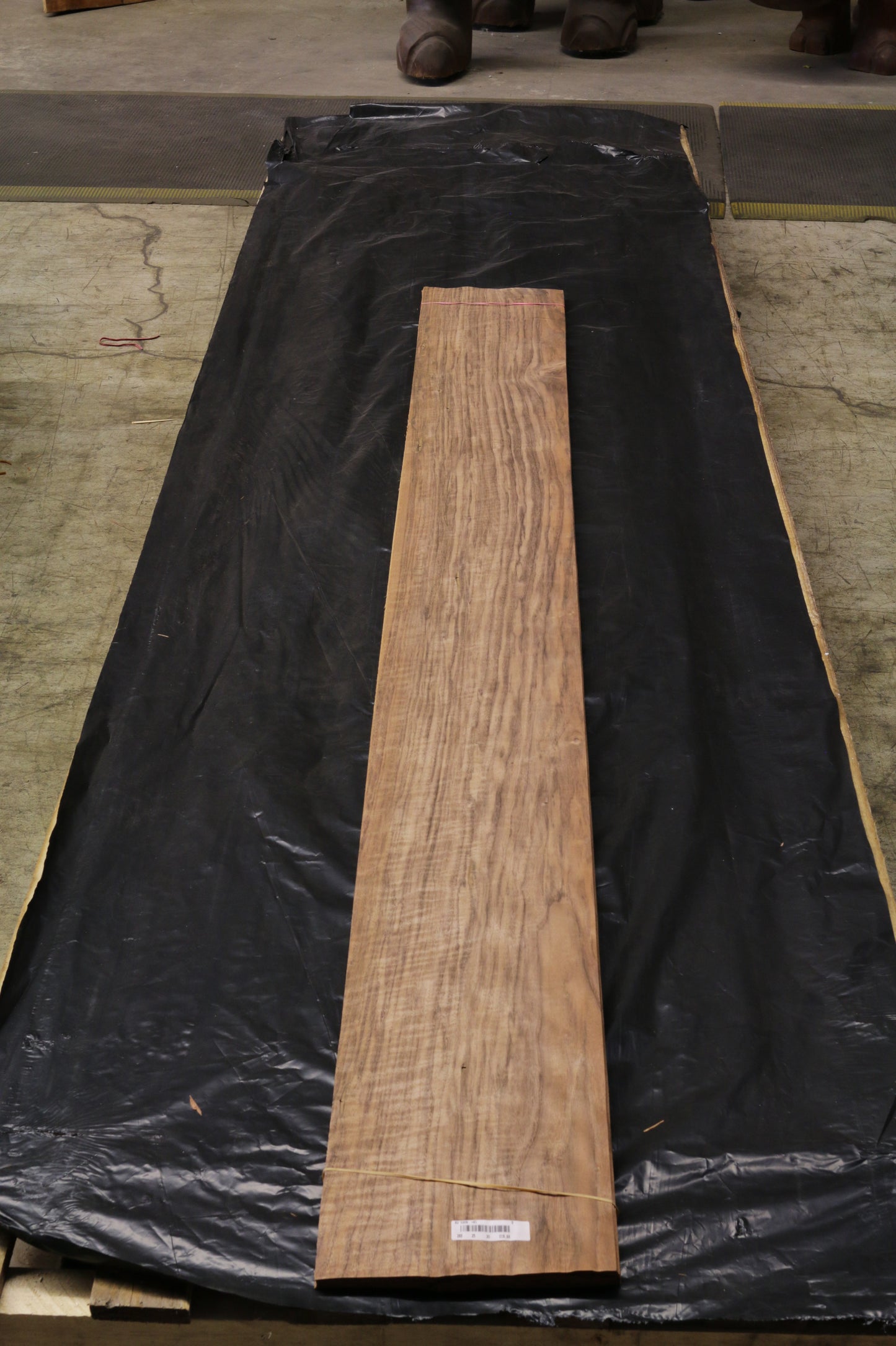 Euro Nußbaum (juglans regia) 0,6mm