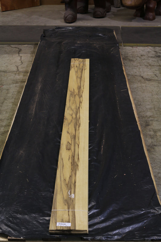 Black Ofram (terminalia superba) 0,6mm