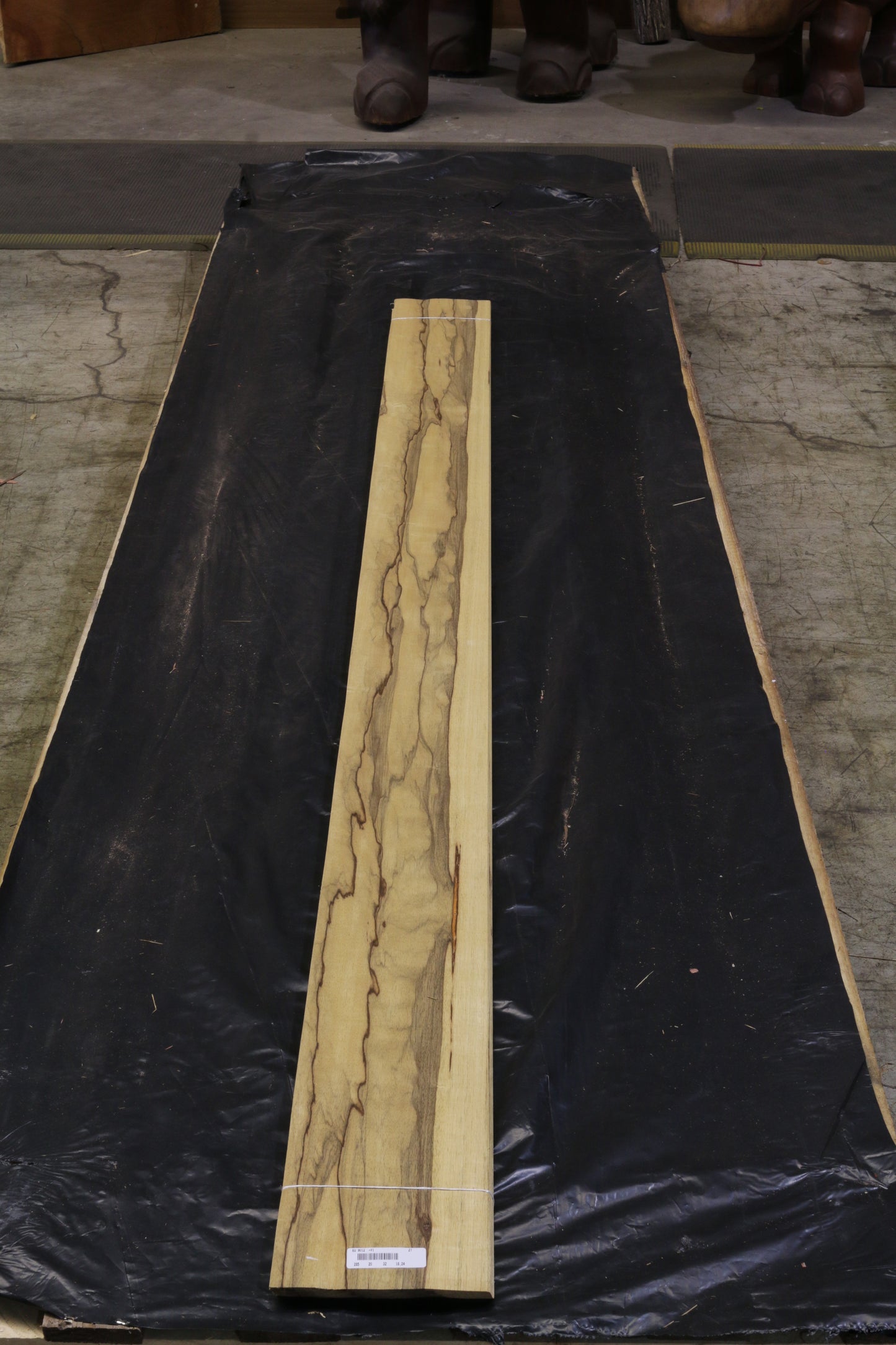 Black Ofram (terminalia superba) 0,6mm