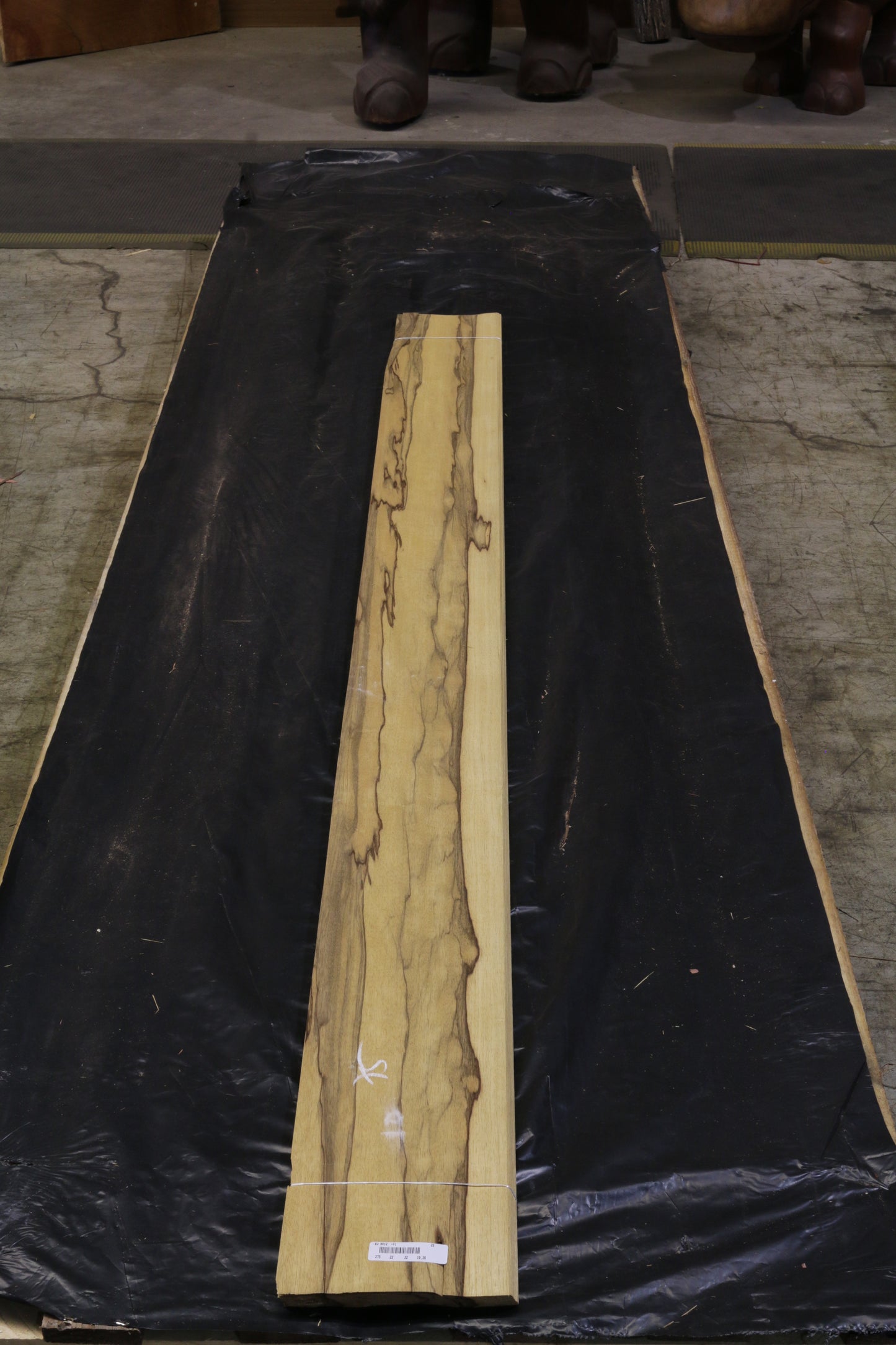 Black Ofram (terminalia superba) 0,6mm