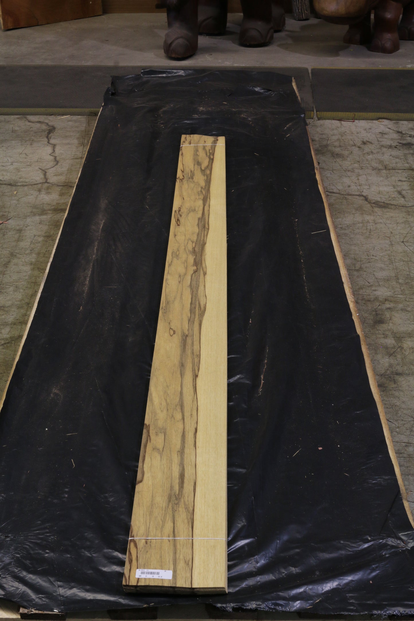 Black Ofram (terminalia superba) 0,6mm