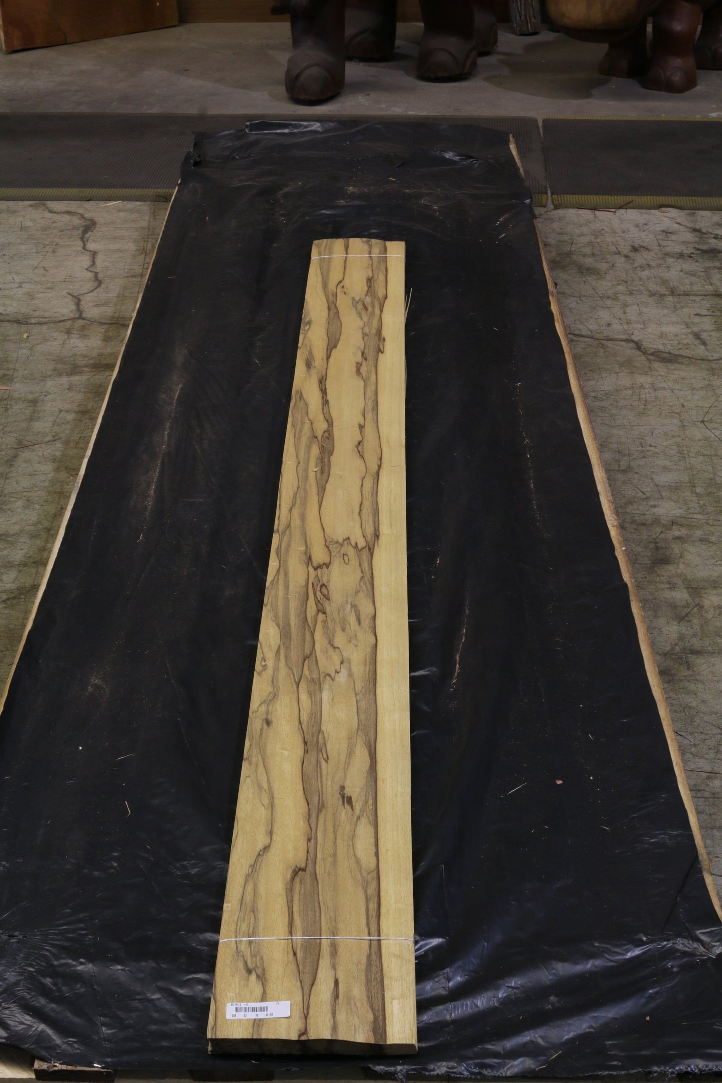 Black Ofram (terminalia superba) 0,6mm