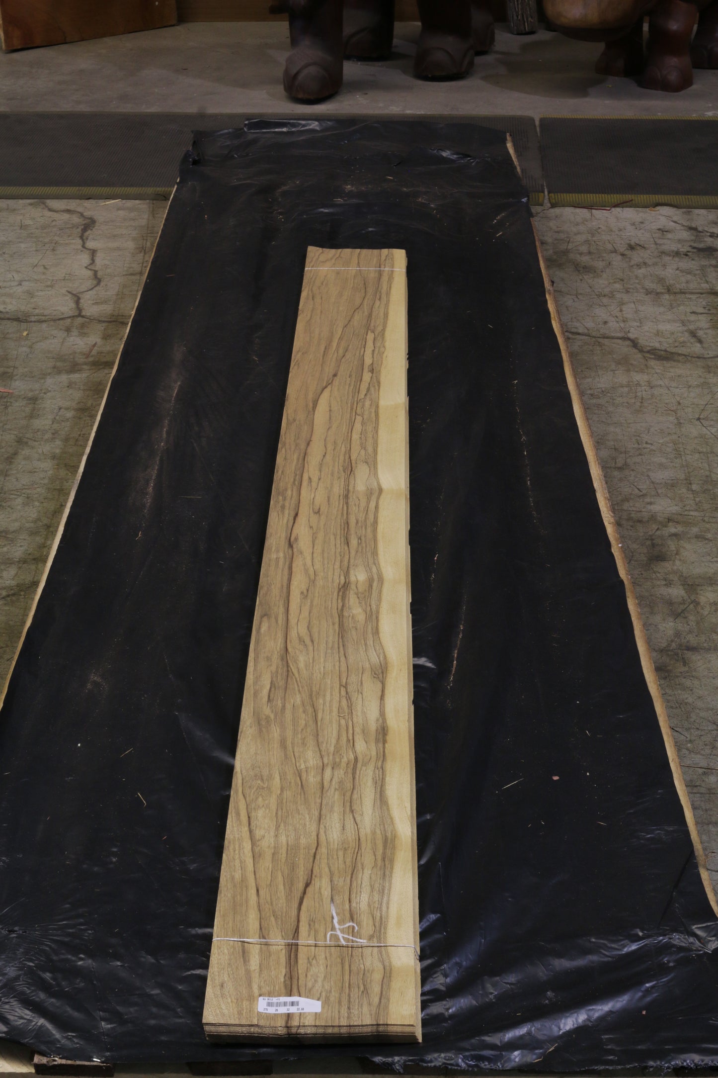 Black Ofram (terminalia superba) 0,6mm